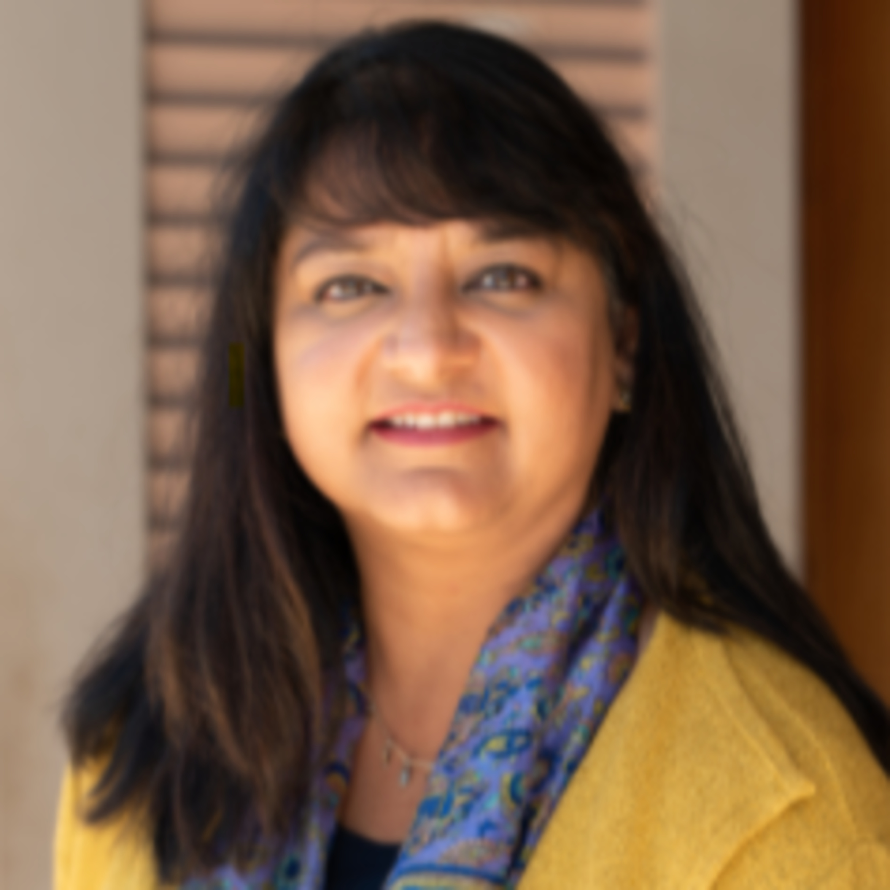 South Asian Voices