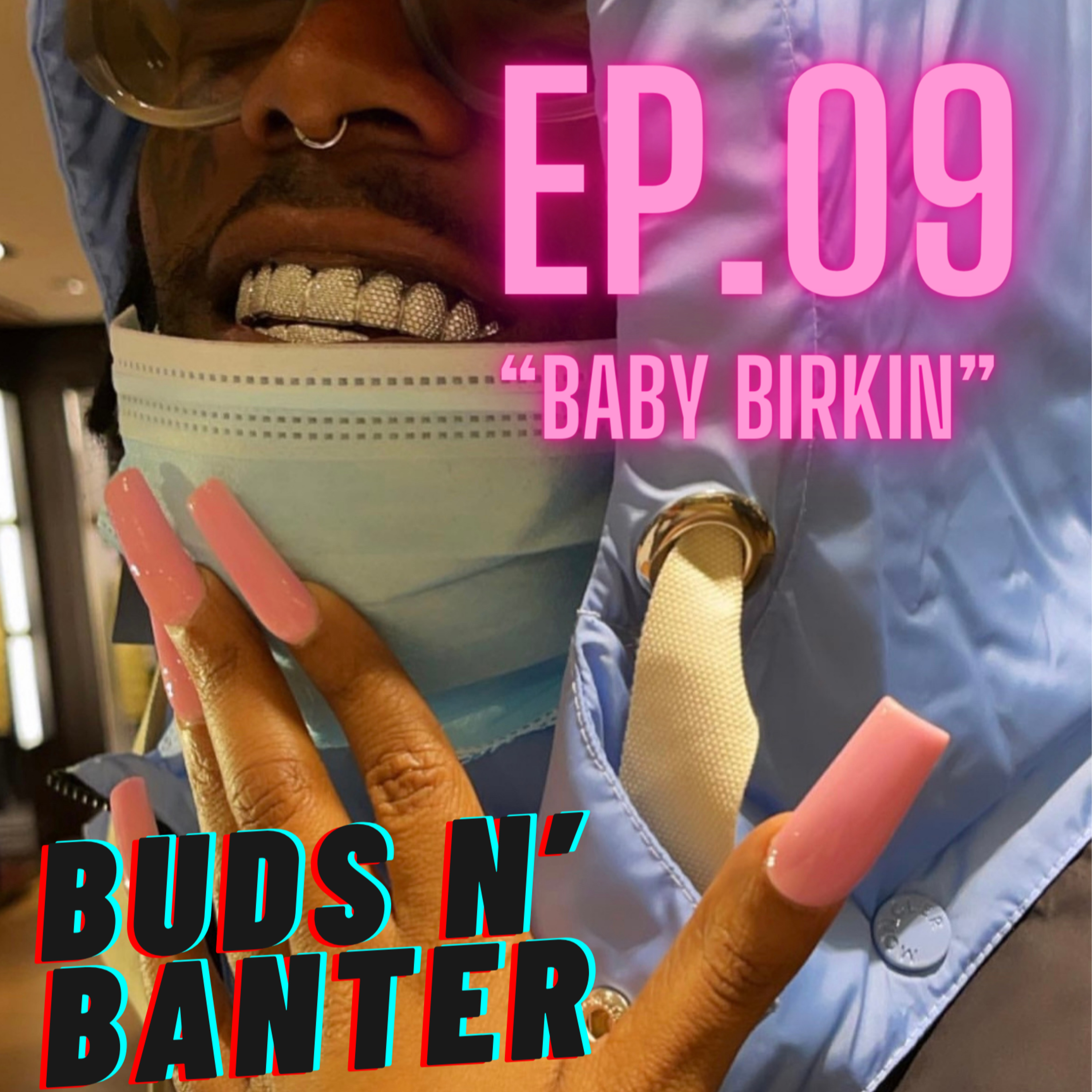 "Baby Birkin" episode artwork