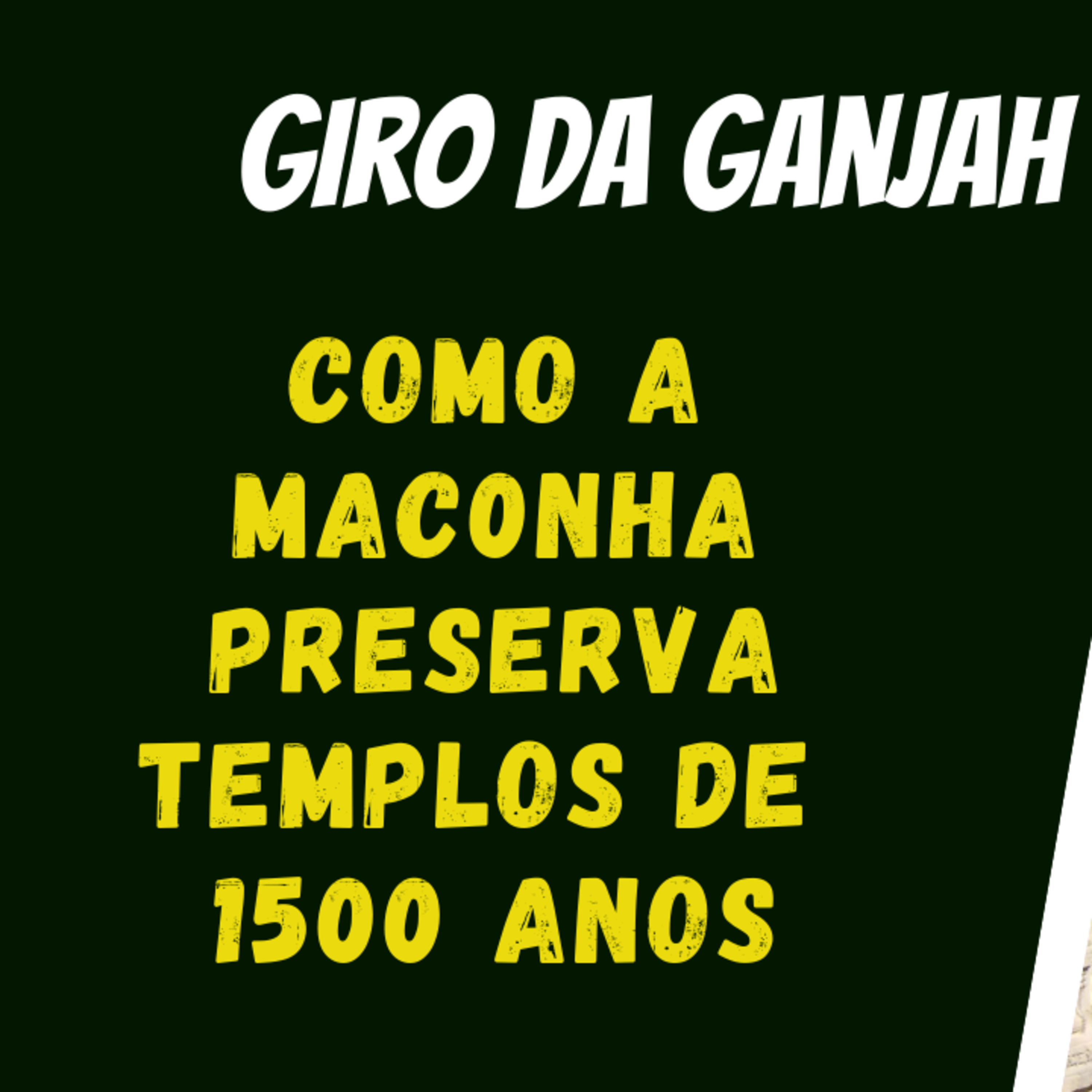 Natural TV - Comunidade Grower Maker