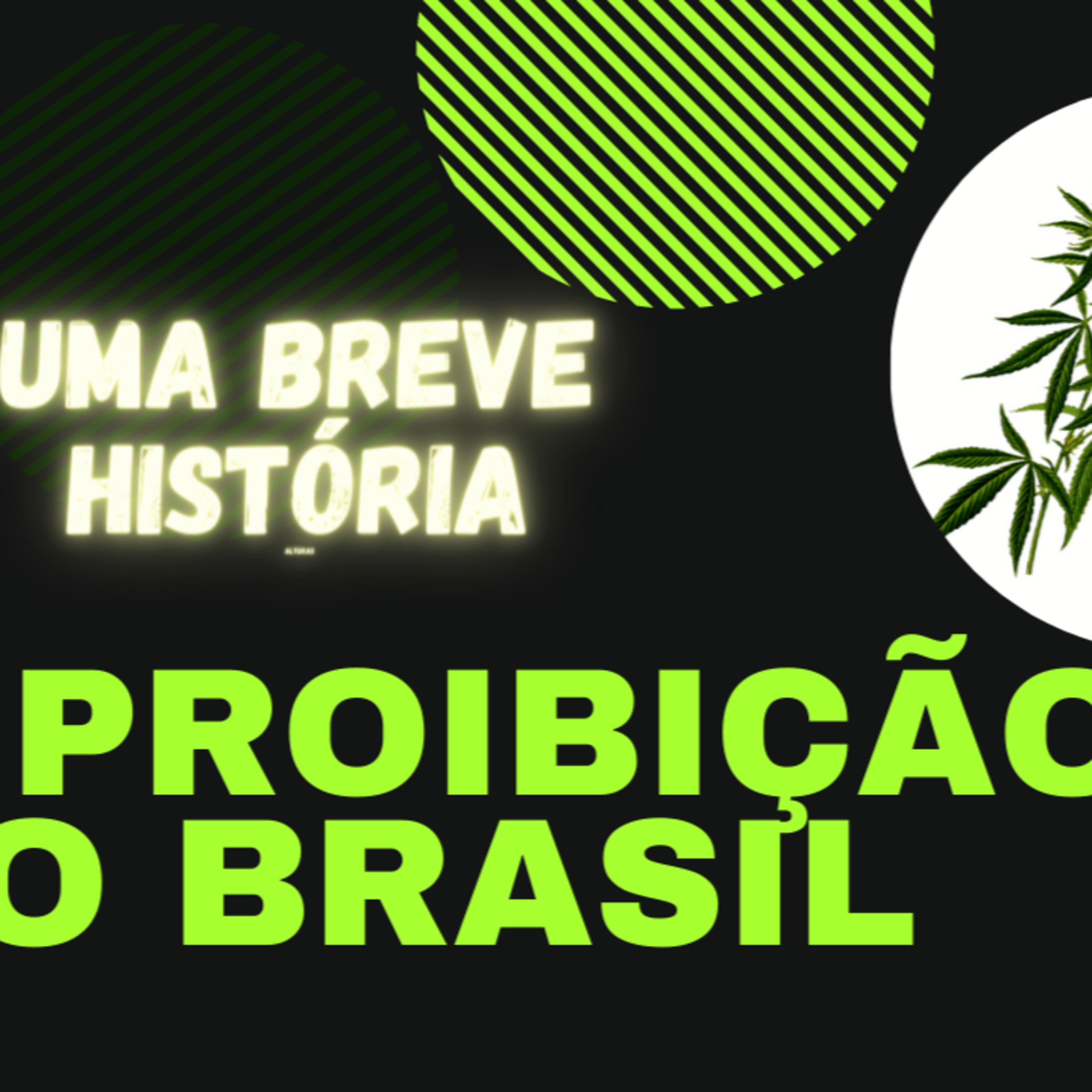 Natural TV - Comunidade Grower Maker