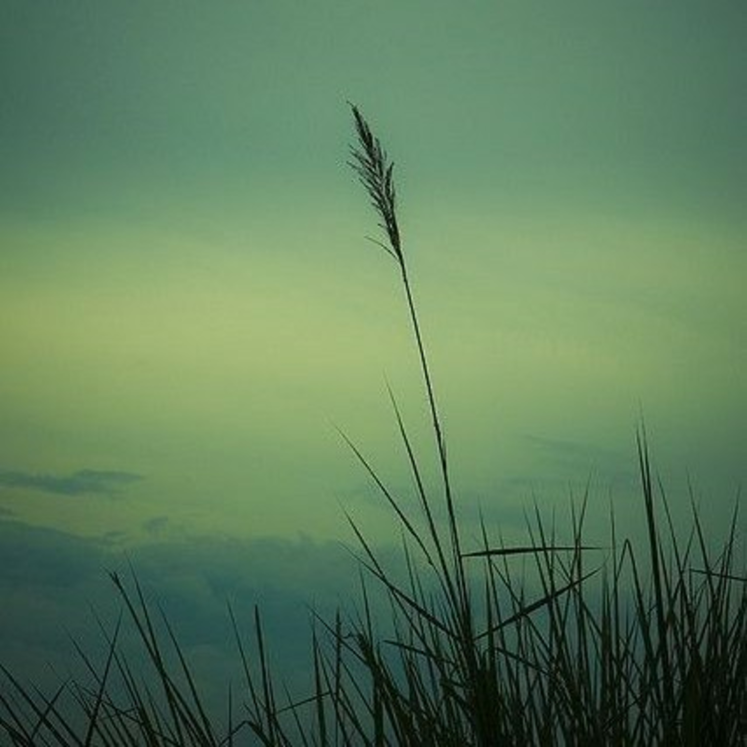 Spiritualparticles