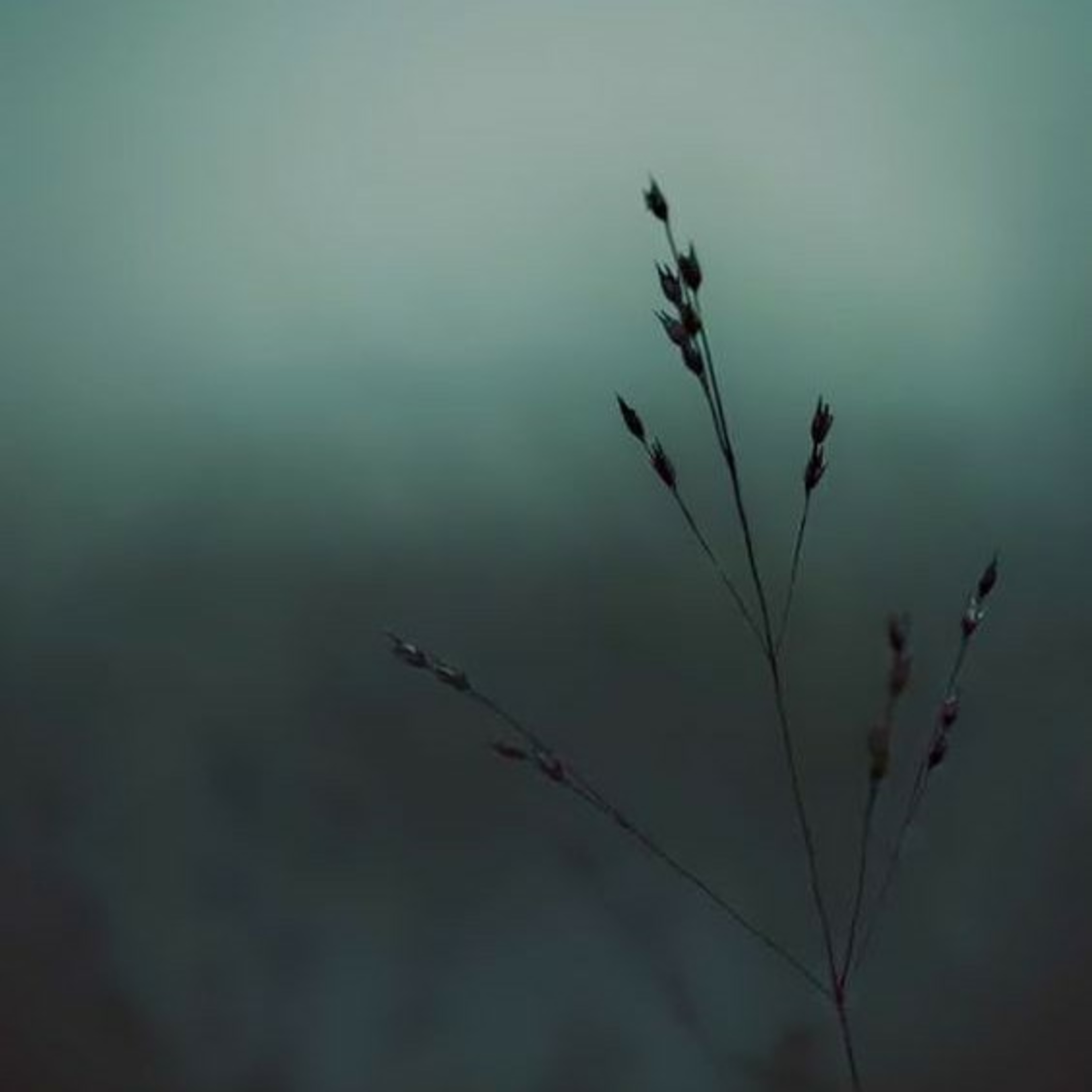 Spiritualparticles