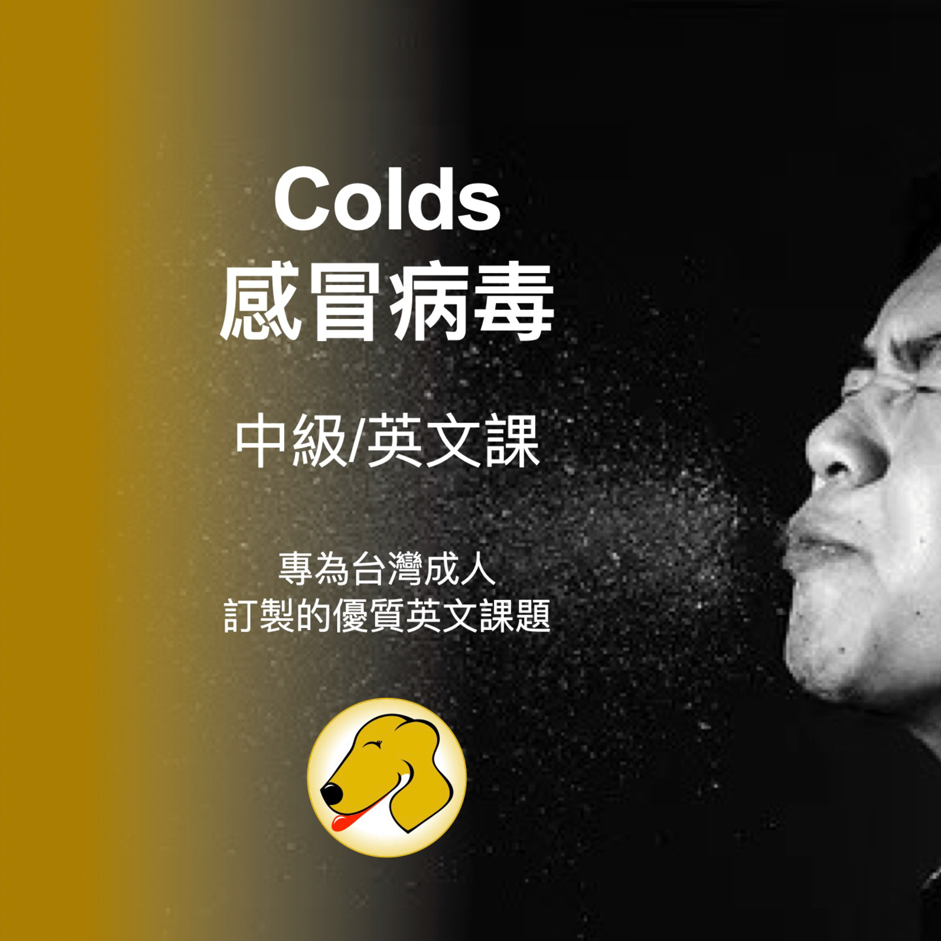 How NOT To Get Colds / 感冒病毒 - 英文課 (native speed)