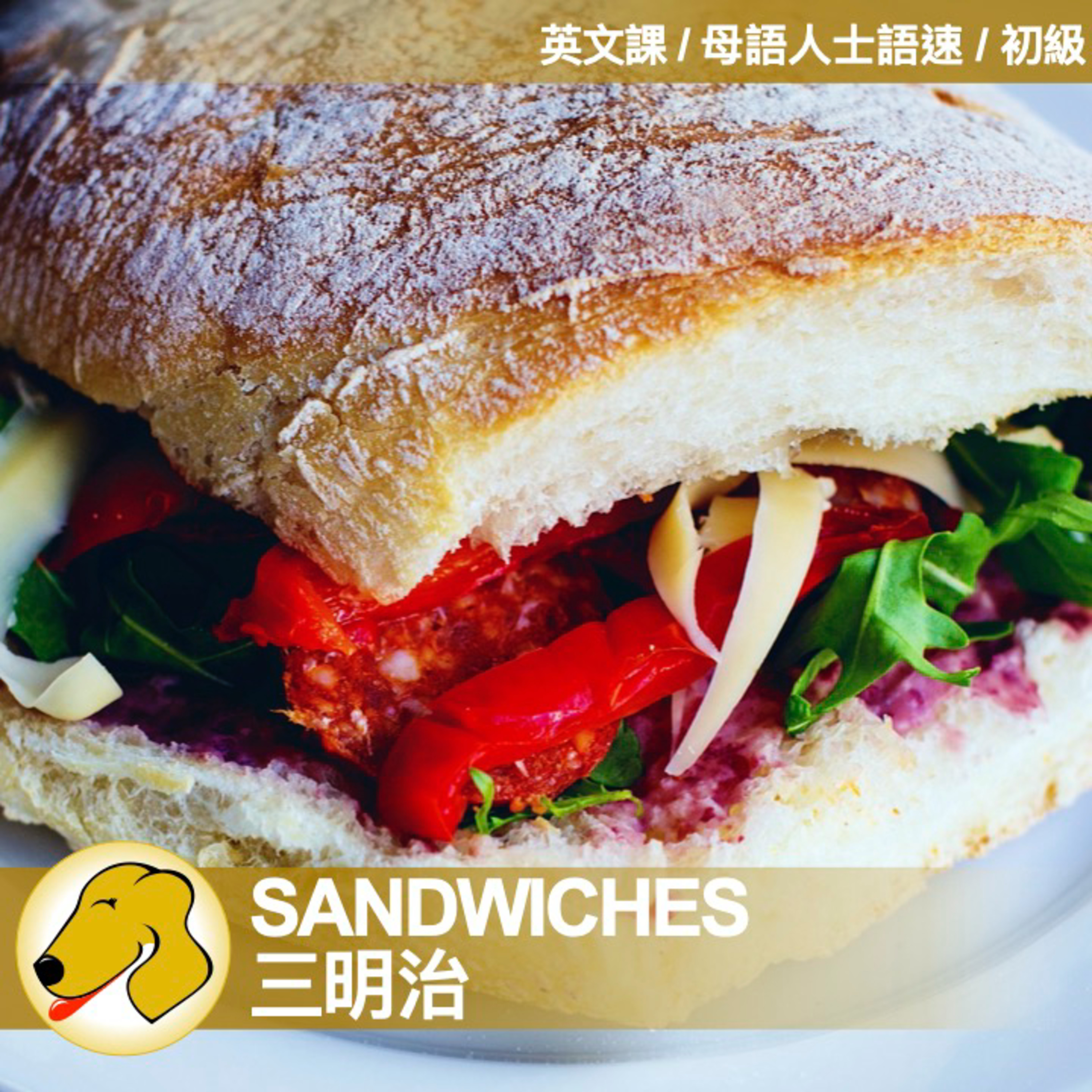 Lucy 語言家教