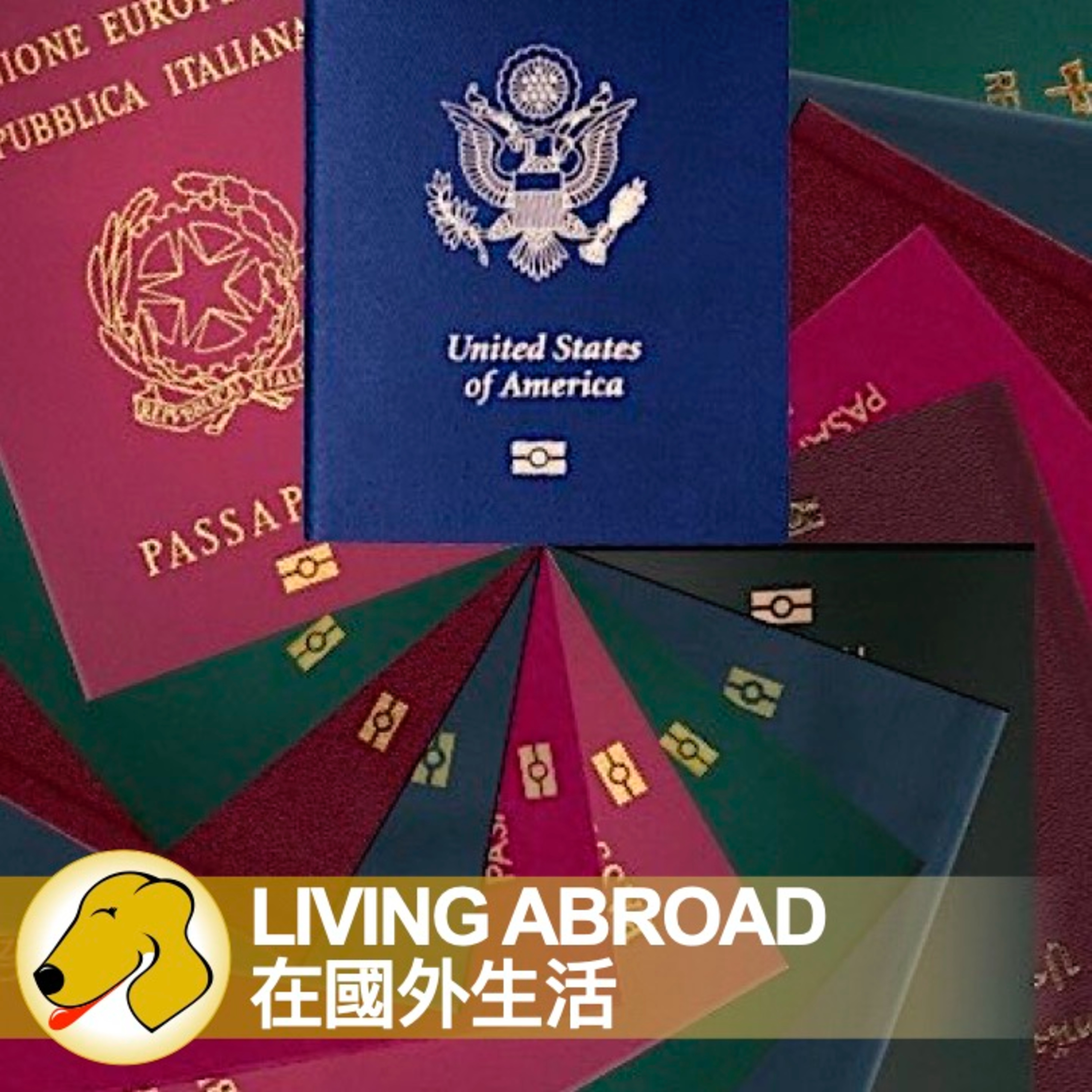The Best Personality for Living Abroad / 在國外生活 - 英文課 / 緩慢語速