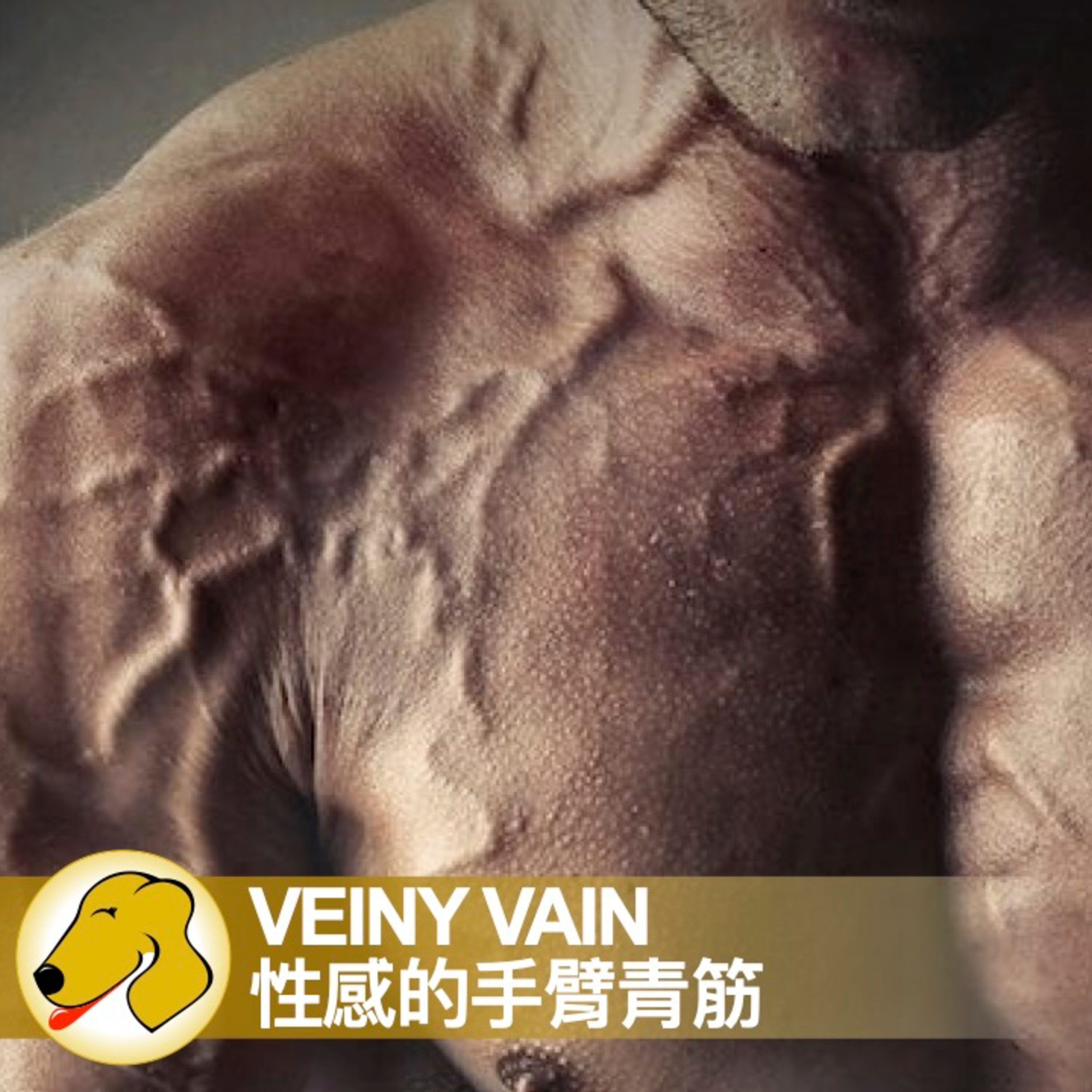 Veiny Vain / 性感的手臂青筋