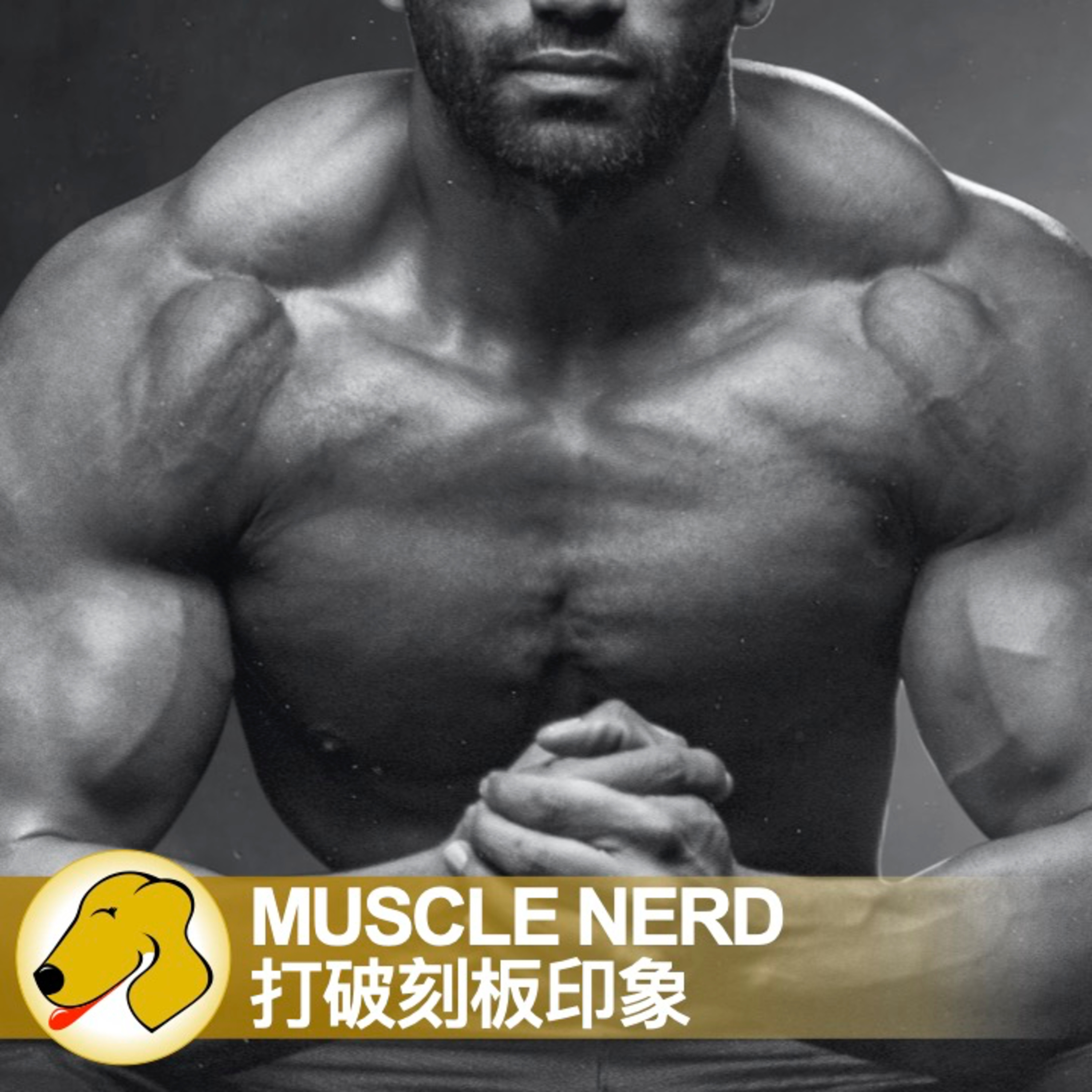 Muscle Nerd / 打破刻板印象