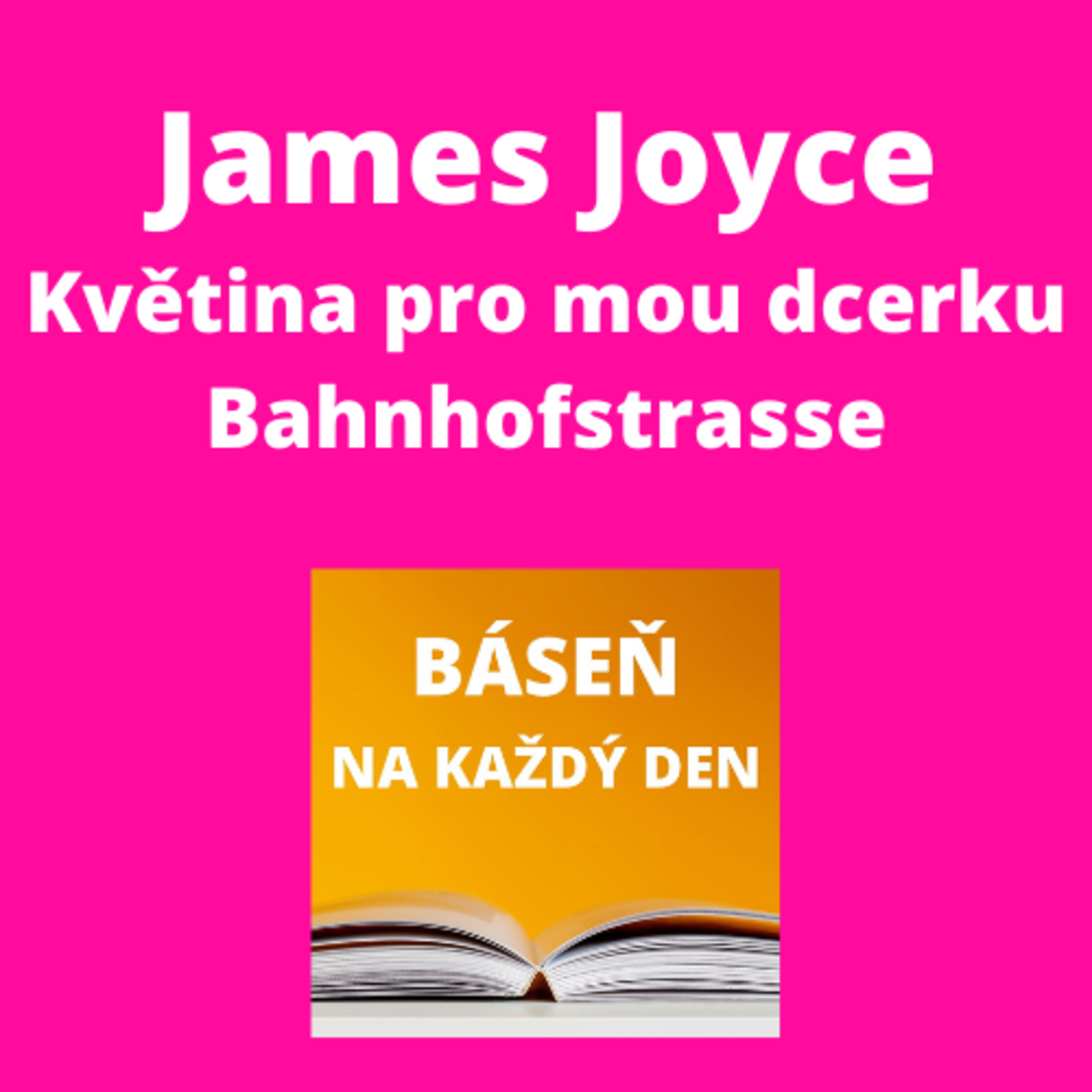 Báseň na každý den
