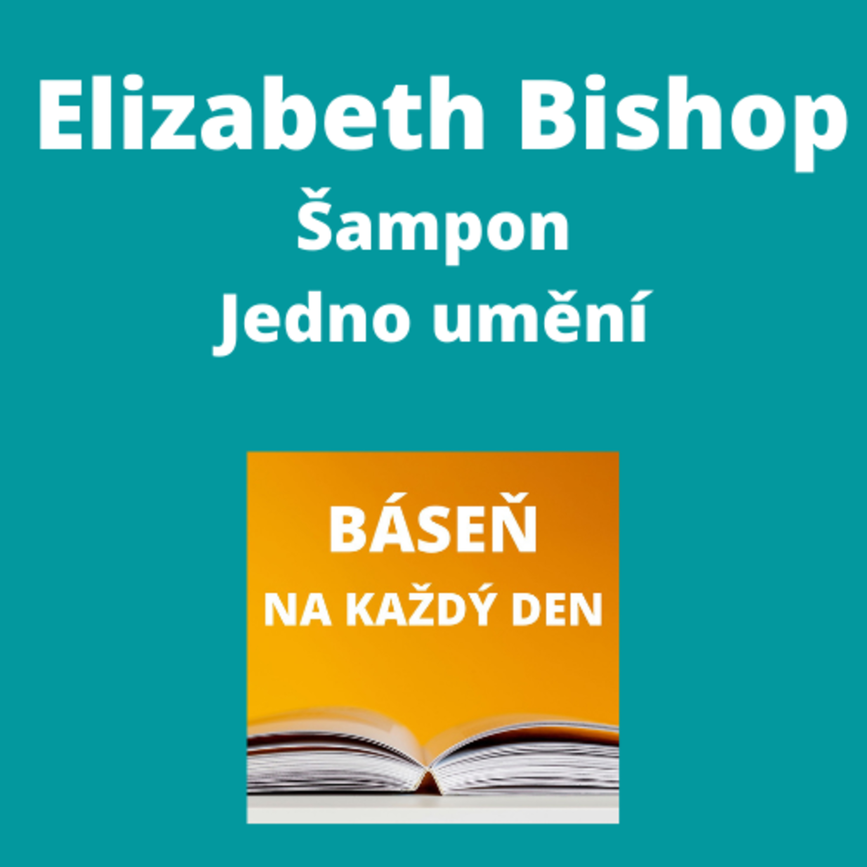 Báseň na každý den