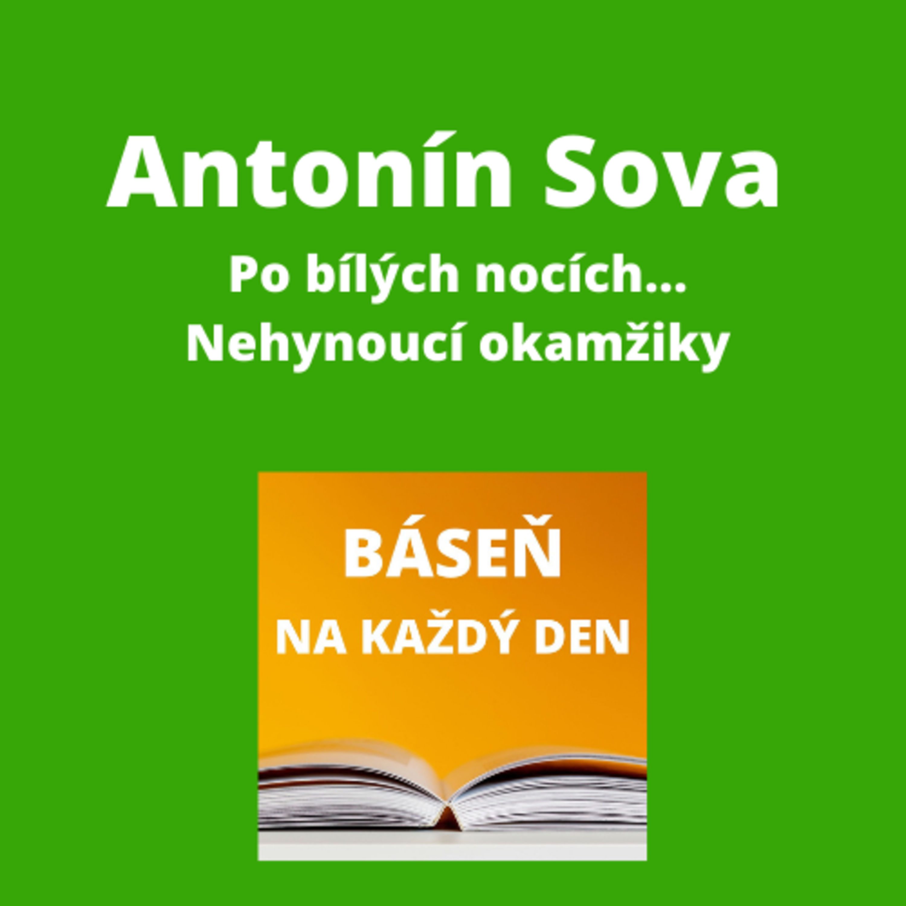Báseň na každý den
