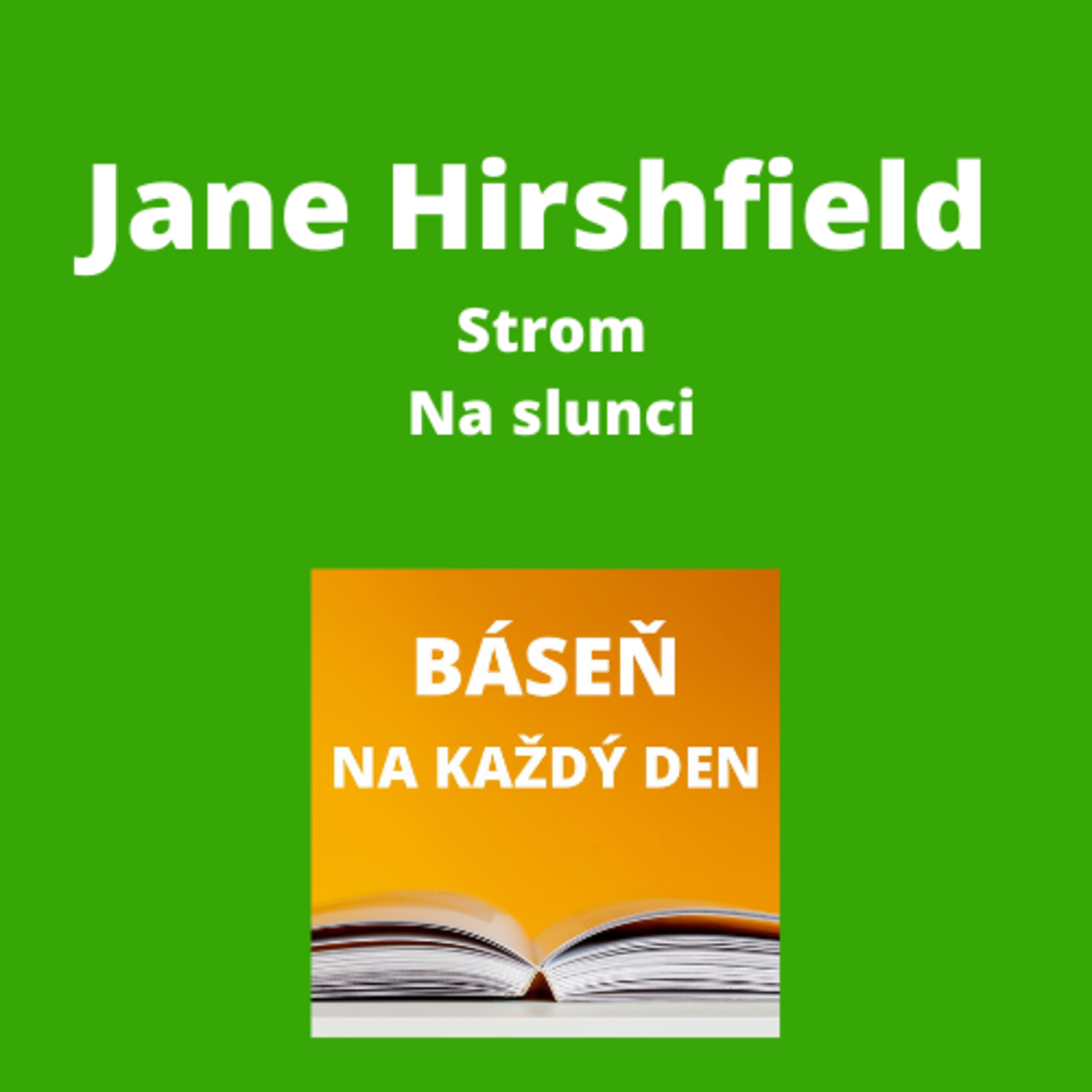Báseň na každý den