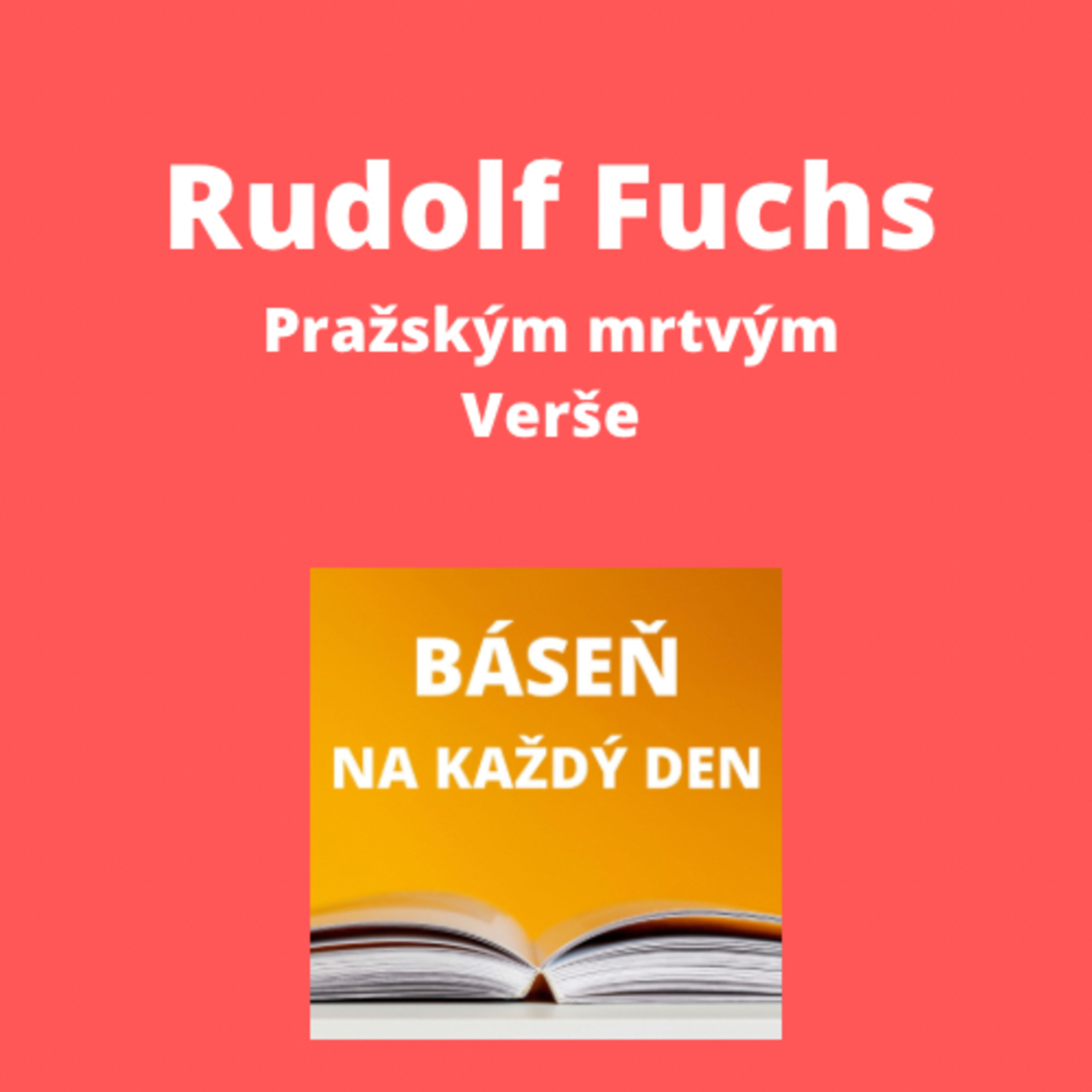Báseň na každý den