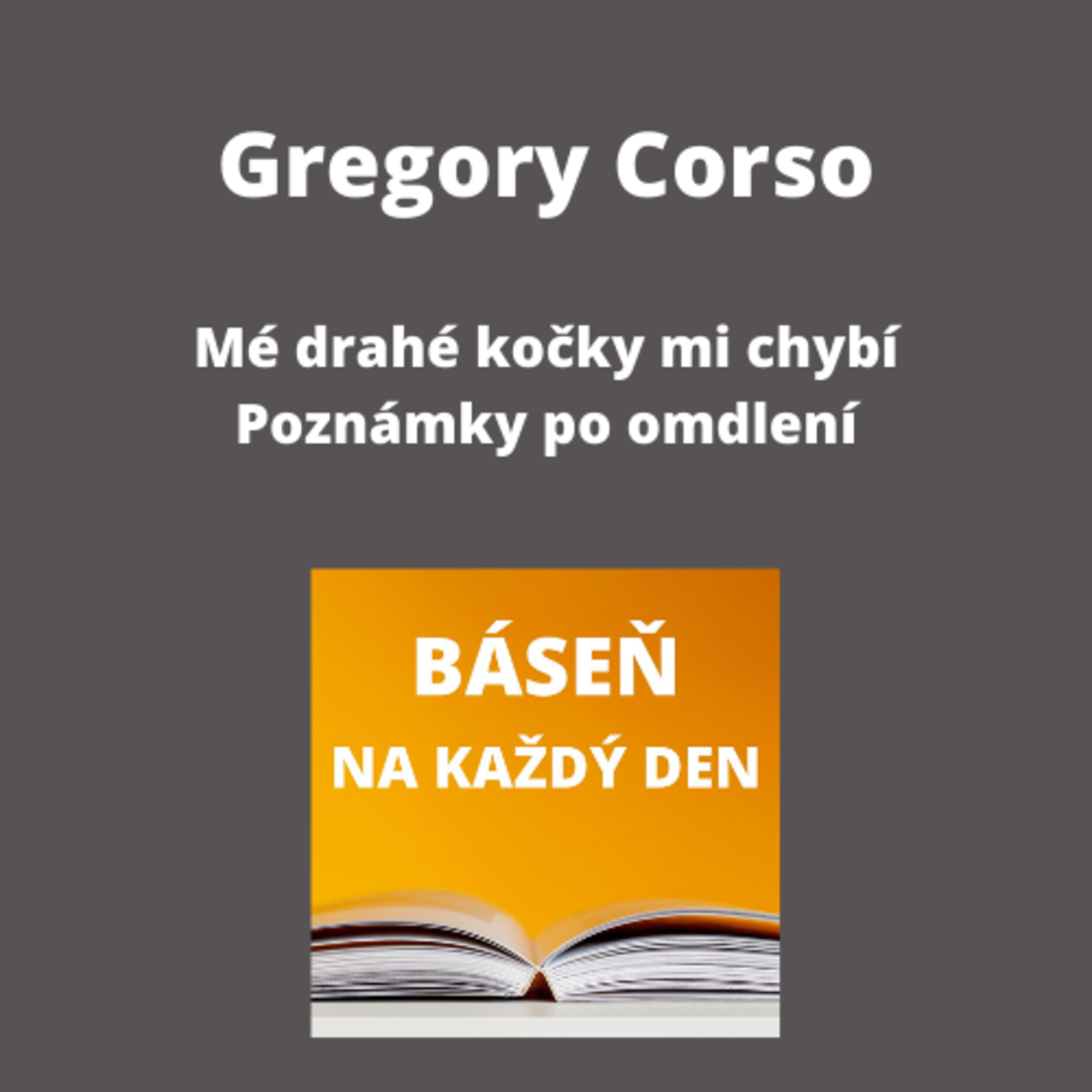 Báseň na každý den