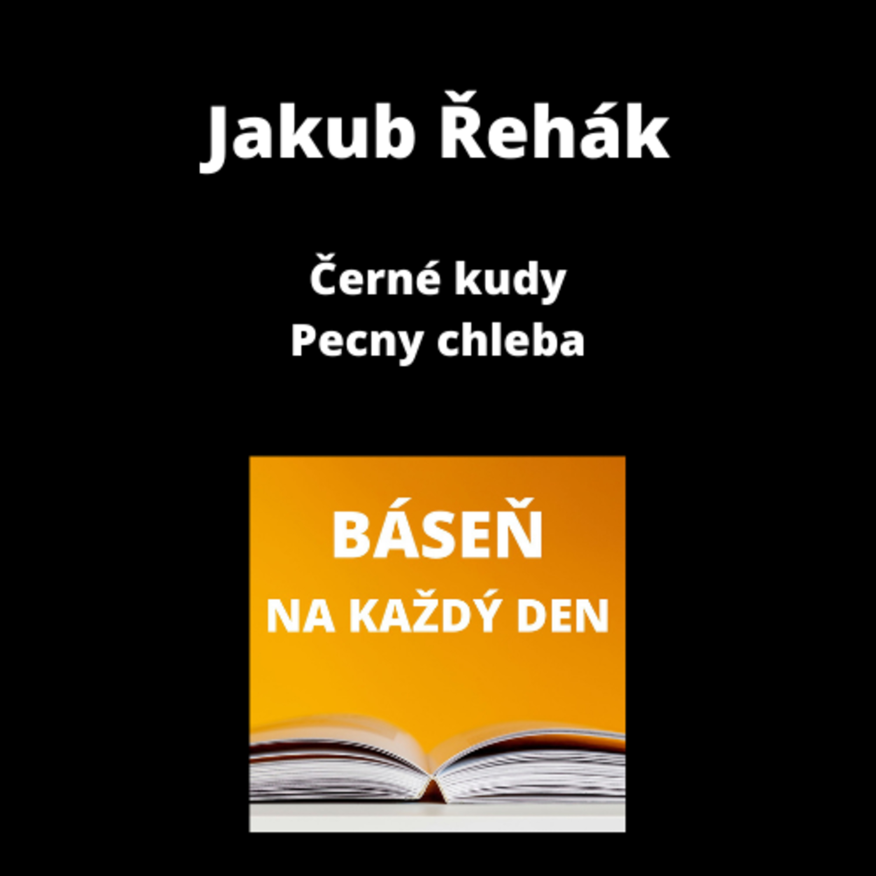 Báseň na každý den