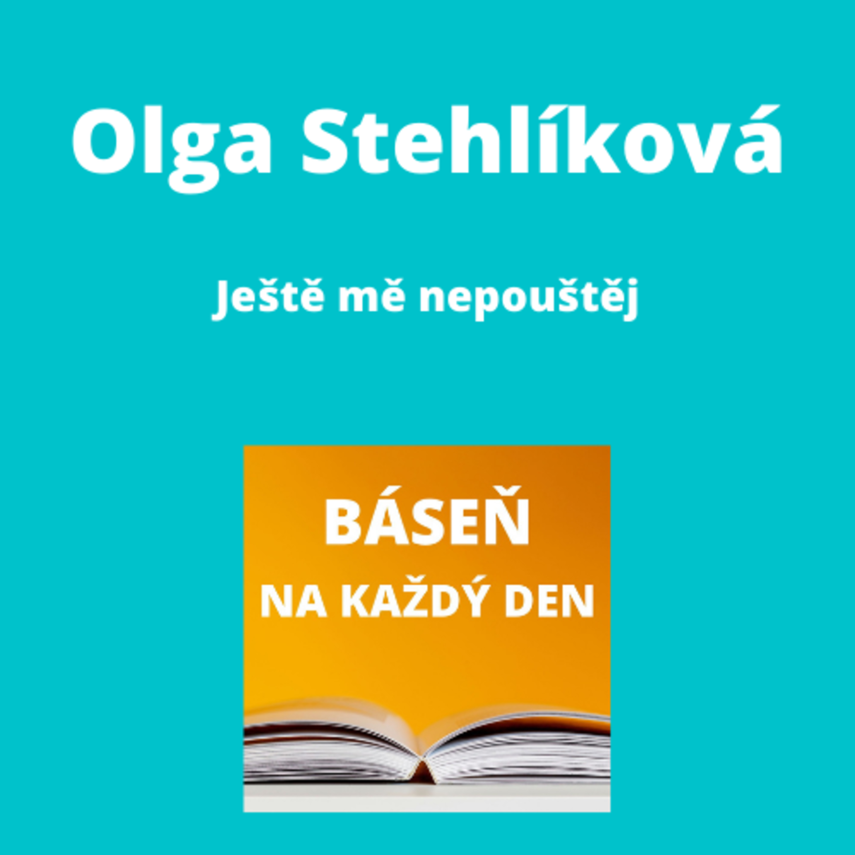 Báseň na každý den