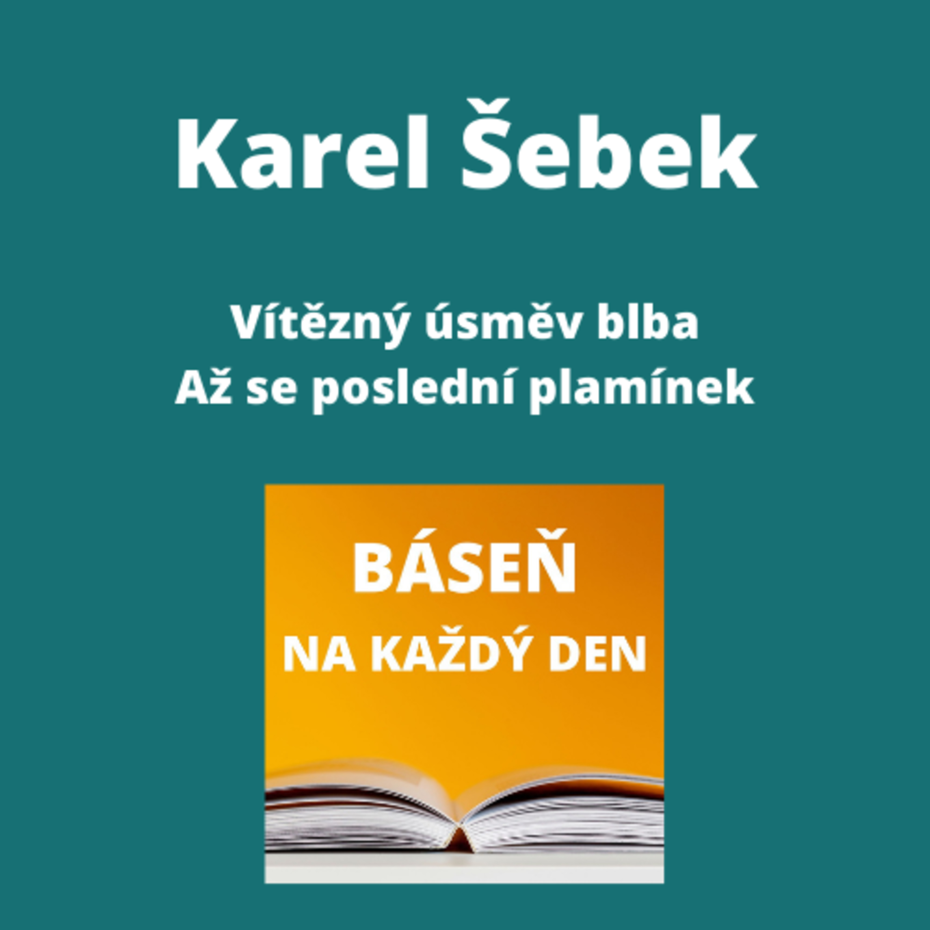 Báseň na každý den