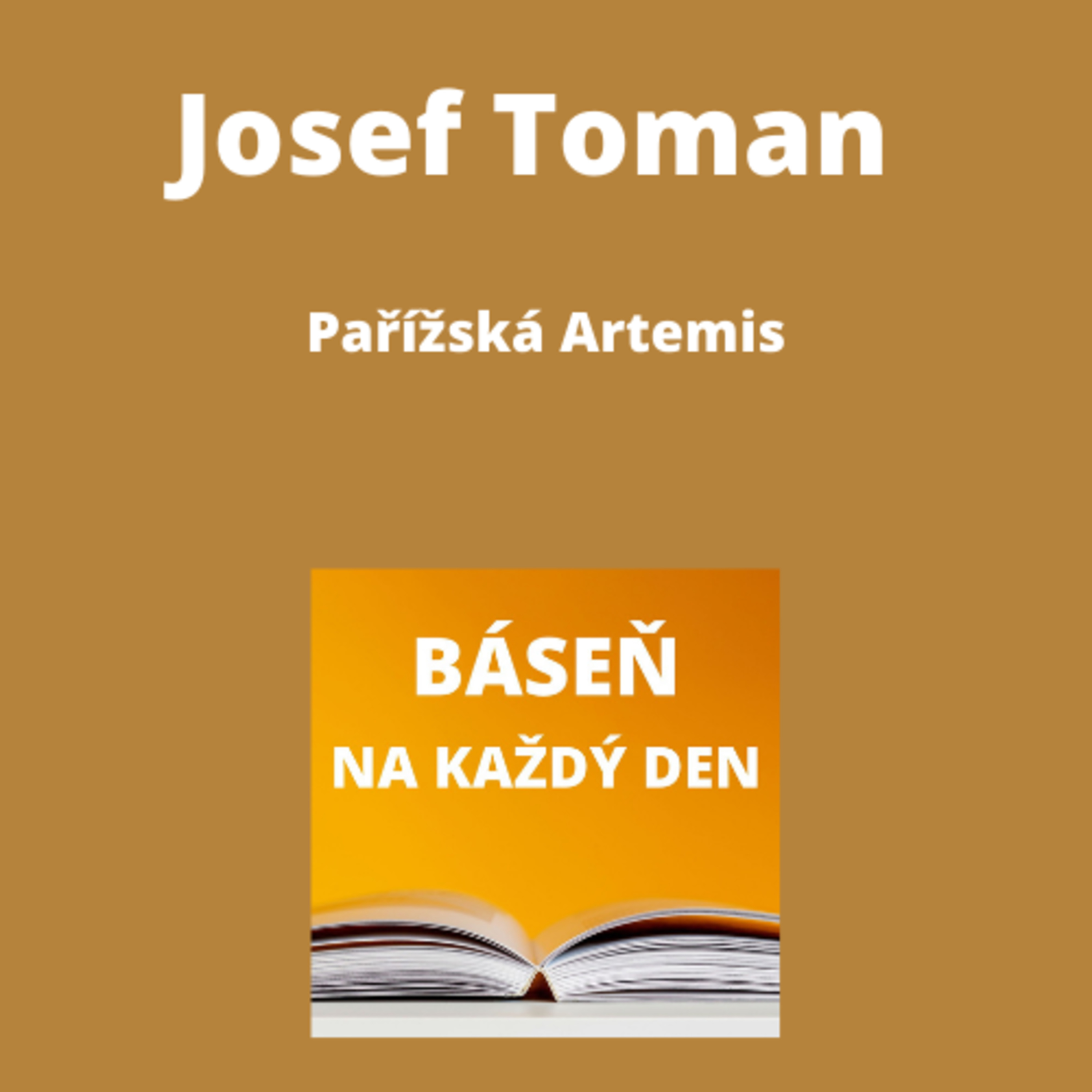 Báseň na každý den