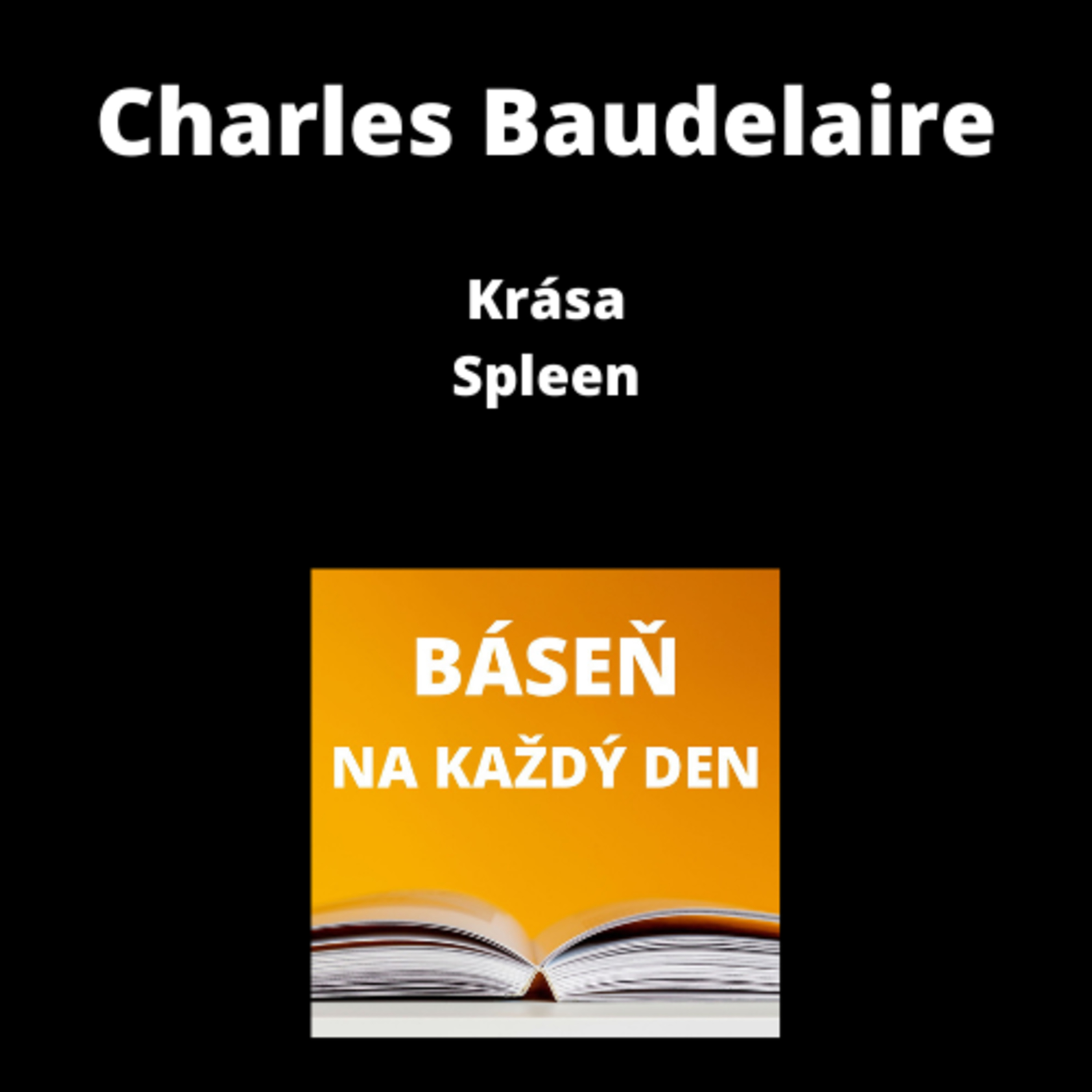 Báseň na každý den