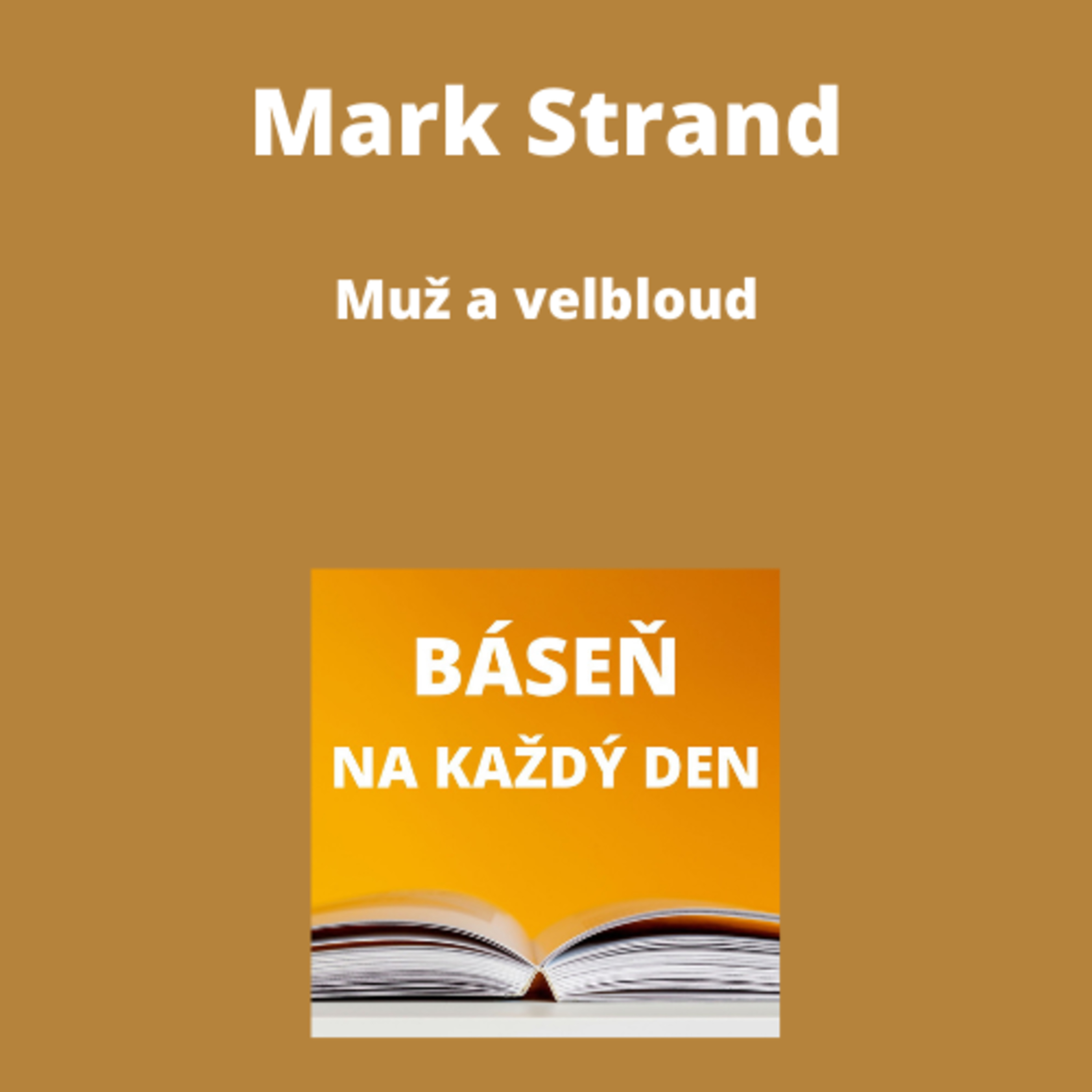 Báseň na každý den