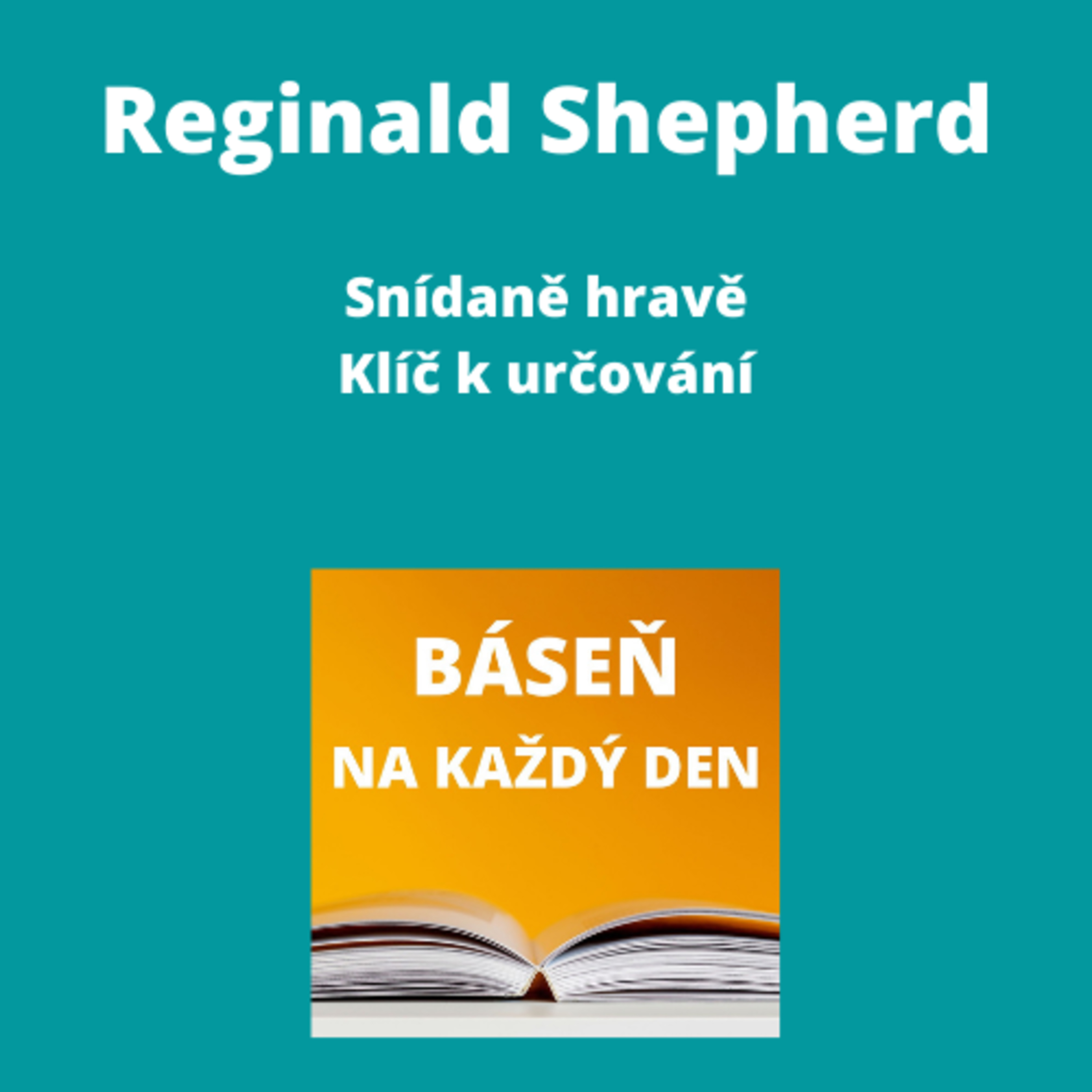 Báseň na každý den