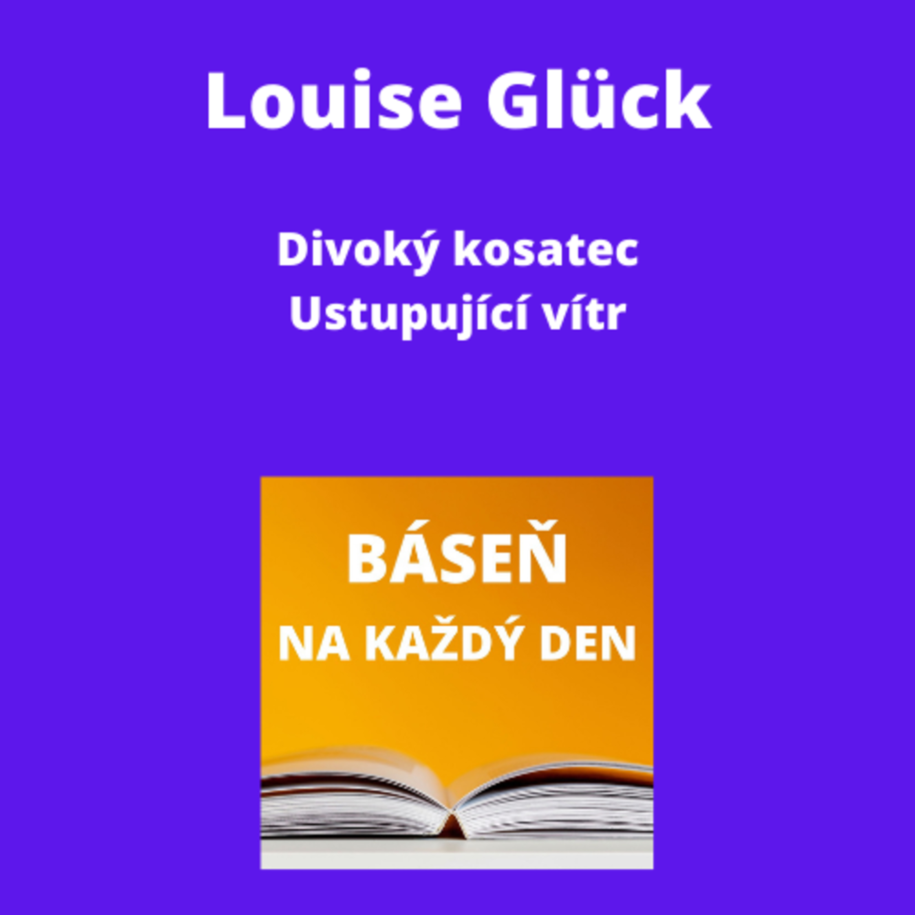 Báseň na každý den