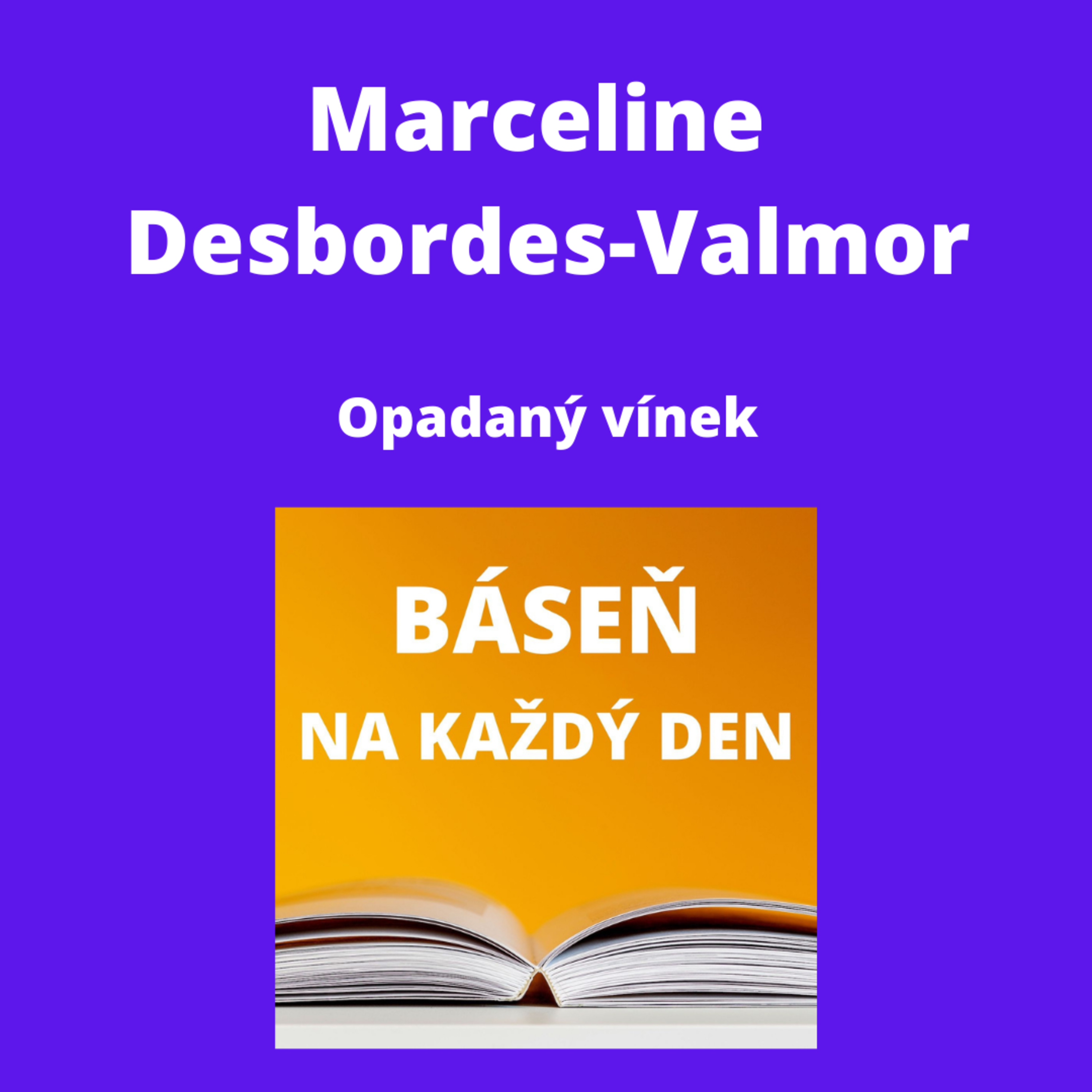 Báseň na každý den