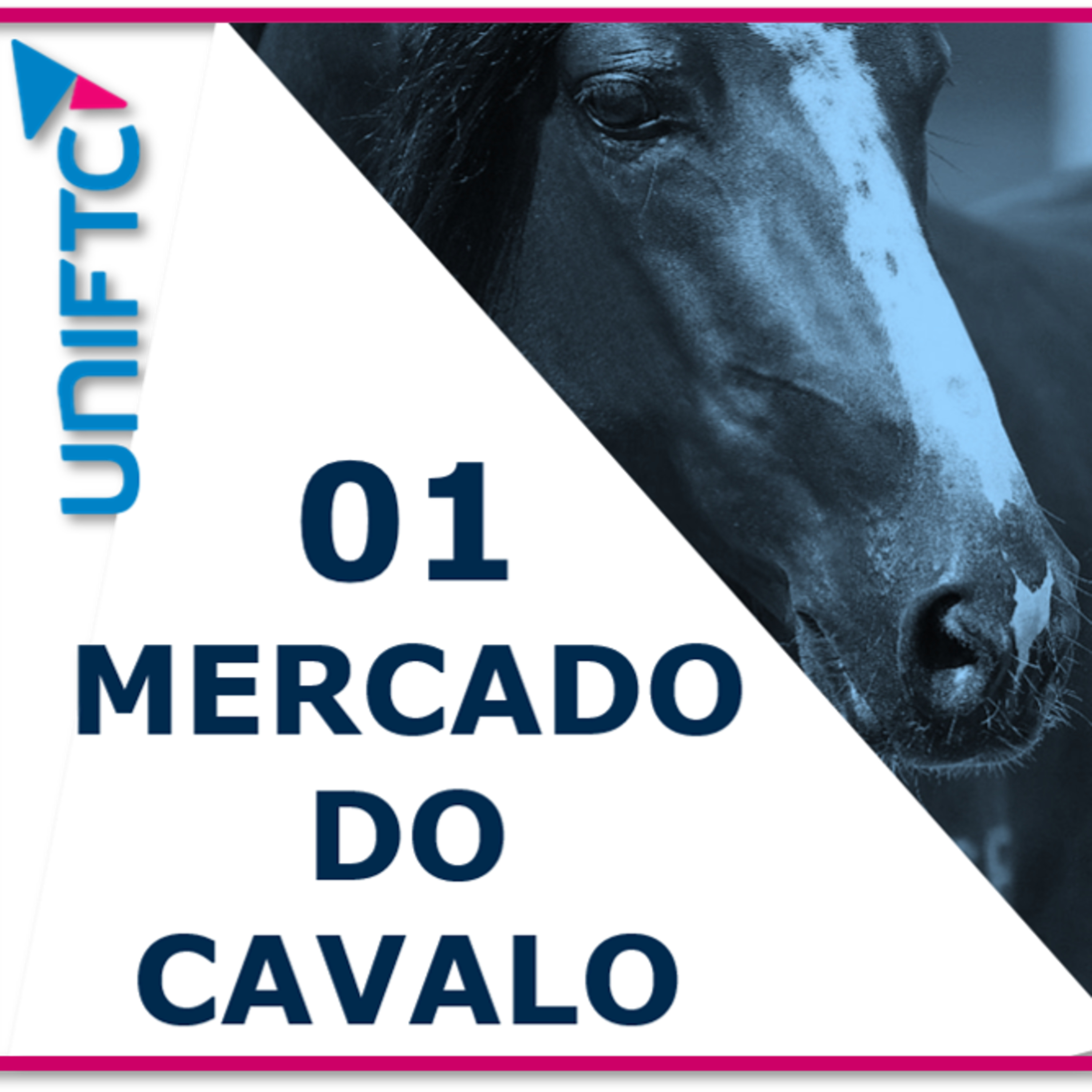 01- MERCADO DO CAVALO episode artwork