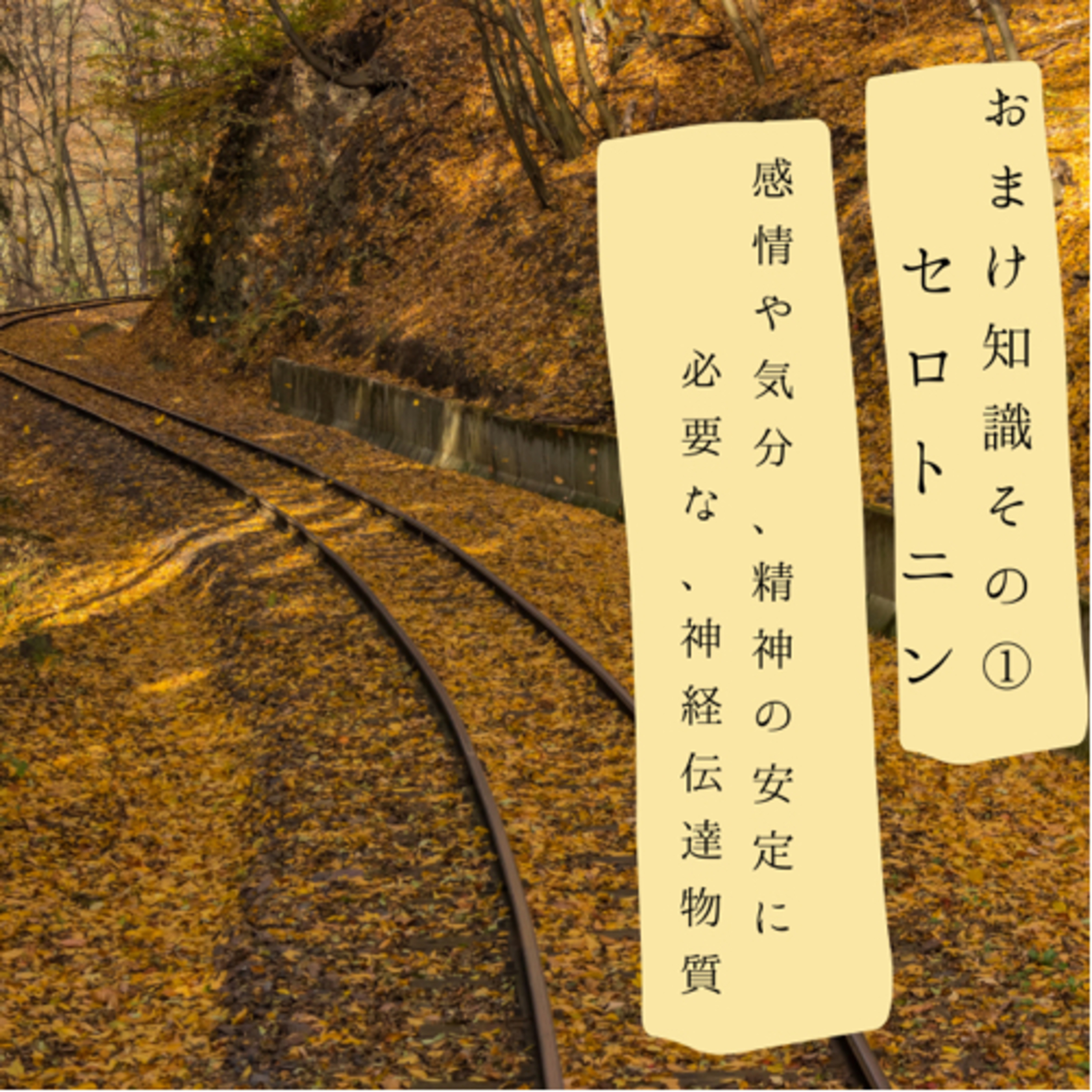 「気にしない方が良いよ」というアドバイスが、ムカつく理由