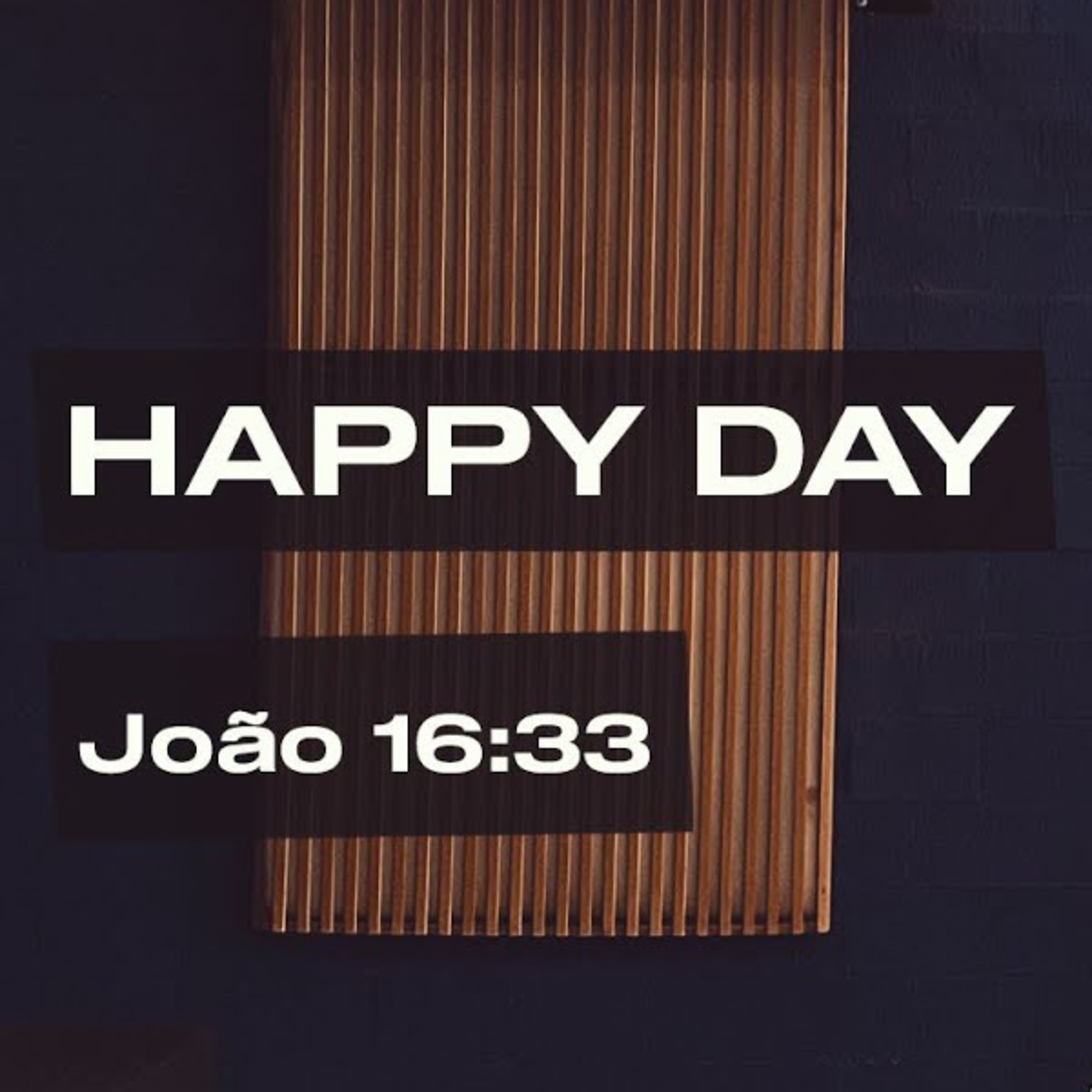 João 16:33 episode artwork