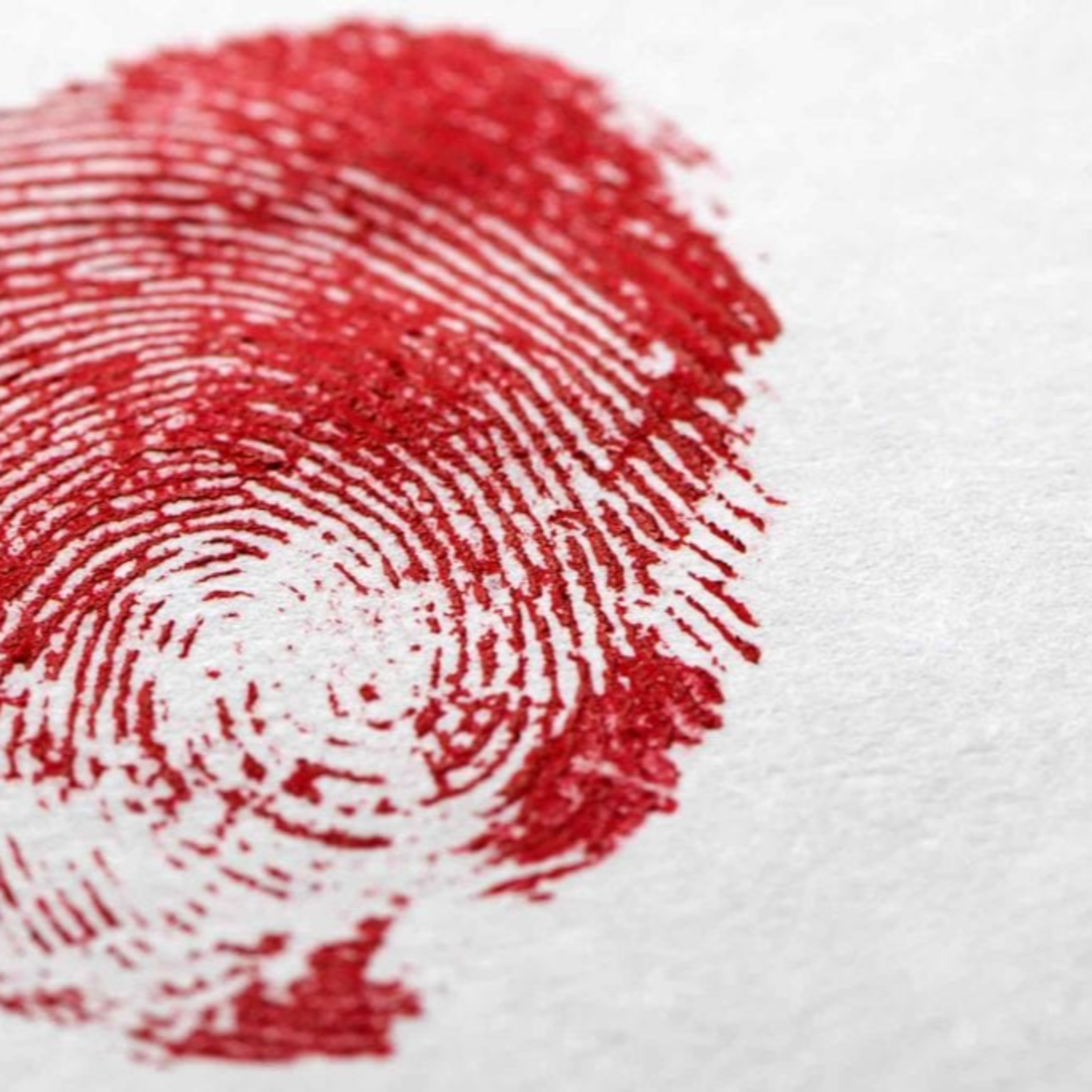 Thoughts of an introverted Gamer