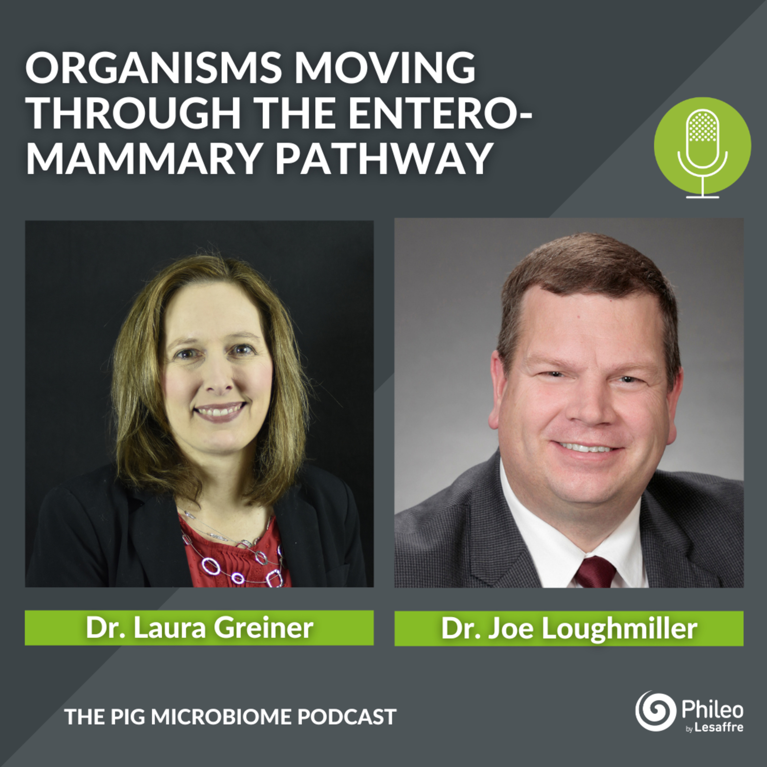 The Pig Microbiome Podcast
