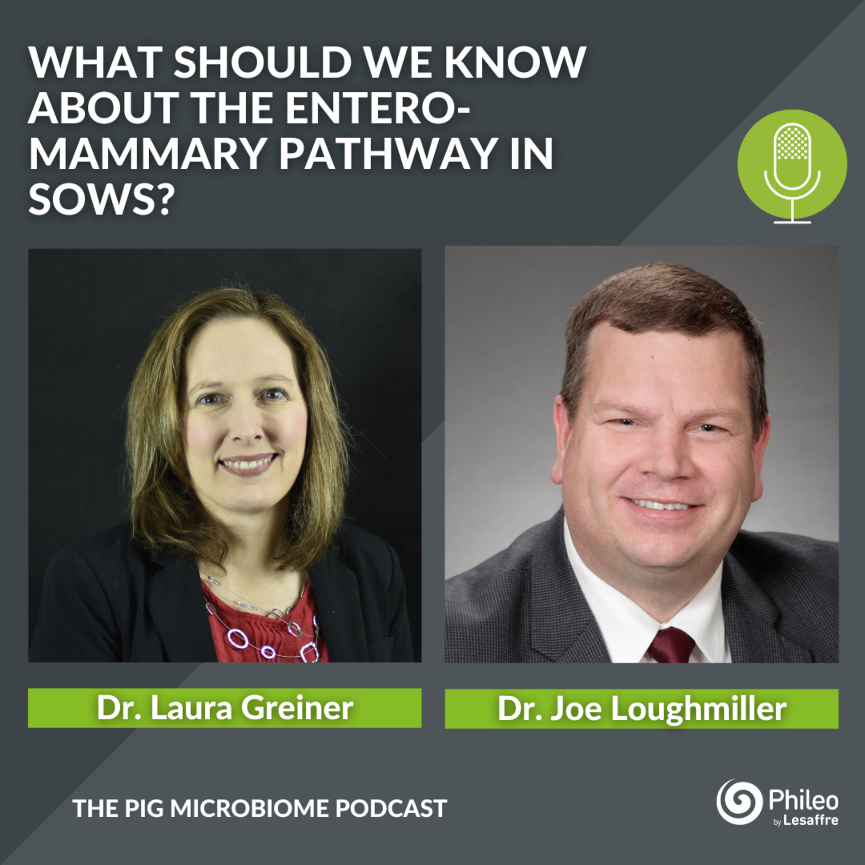 The Pig Microbiome Podcast