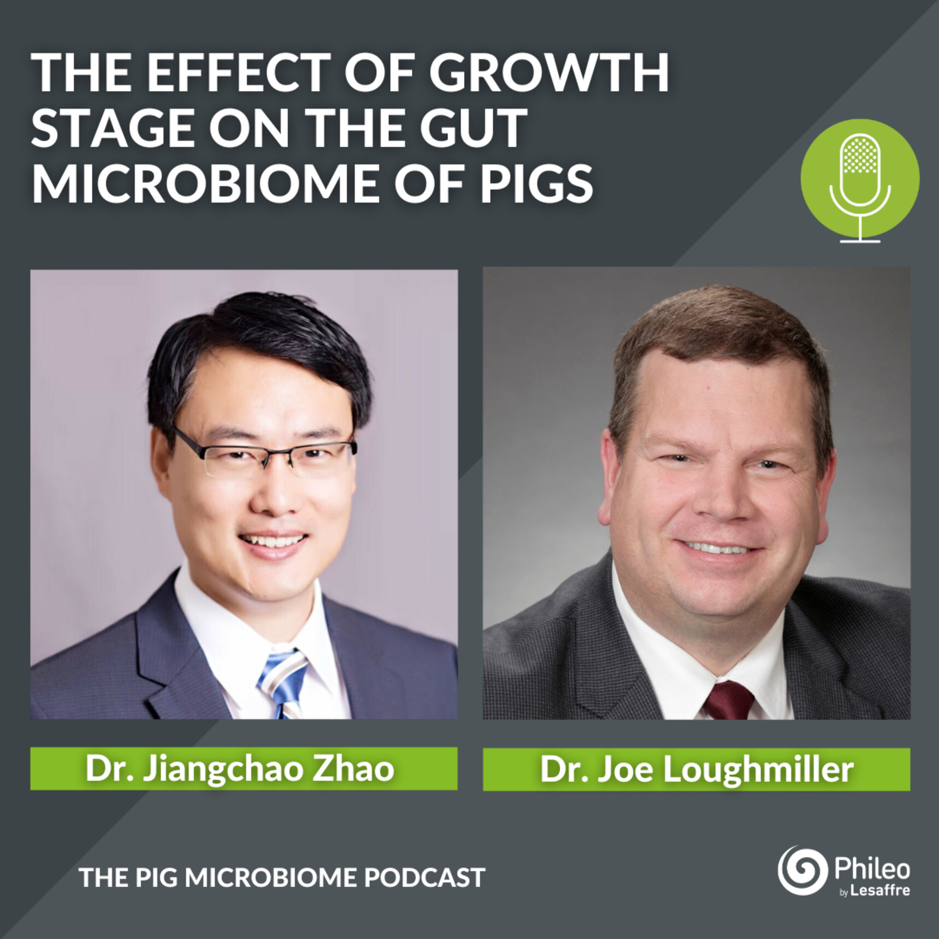 The Pig Microbiome Podcast