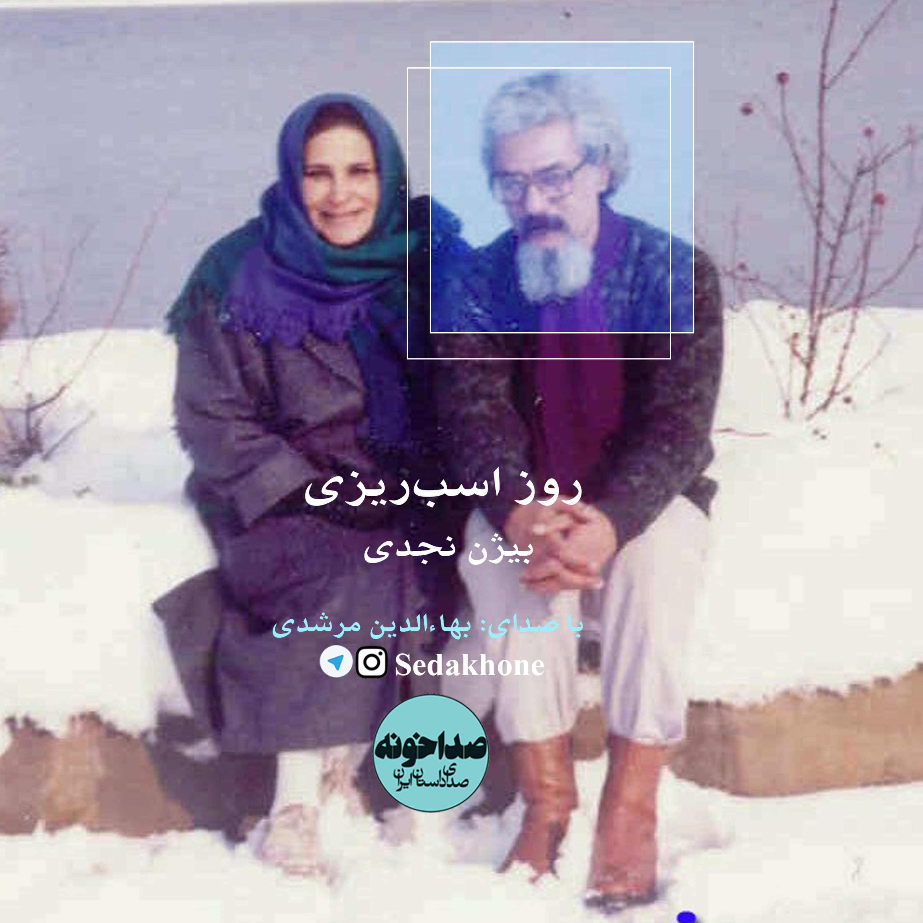 کاور داستان کوتاه «روز اسب‌ریزی» نوشته بیژن نجدی