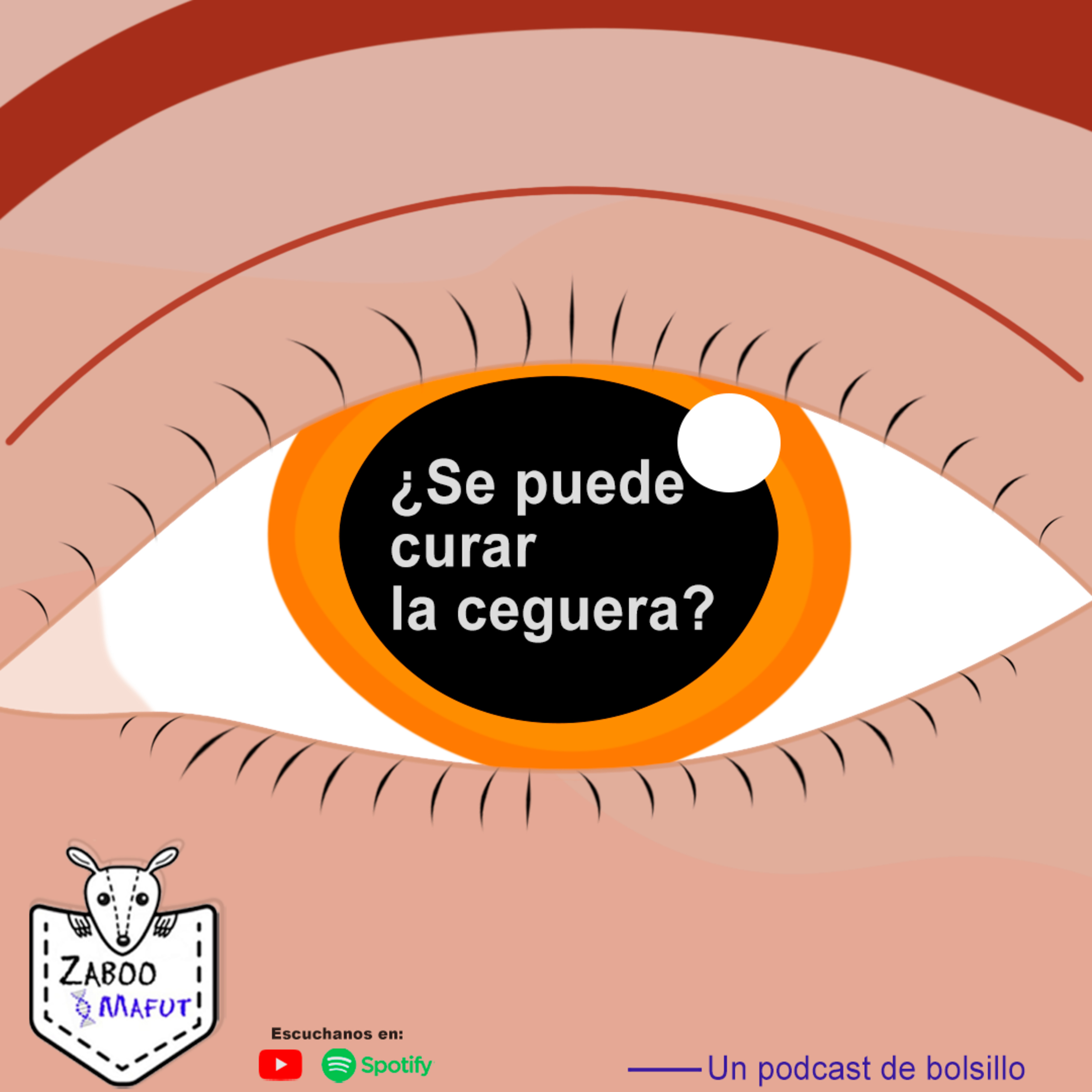 Portada de Zaboo Mafut