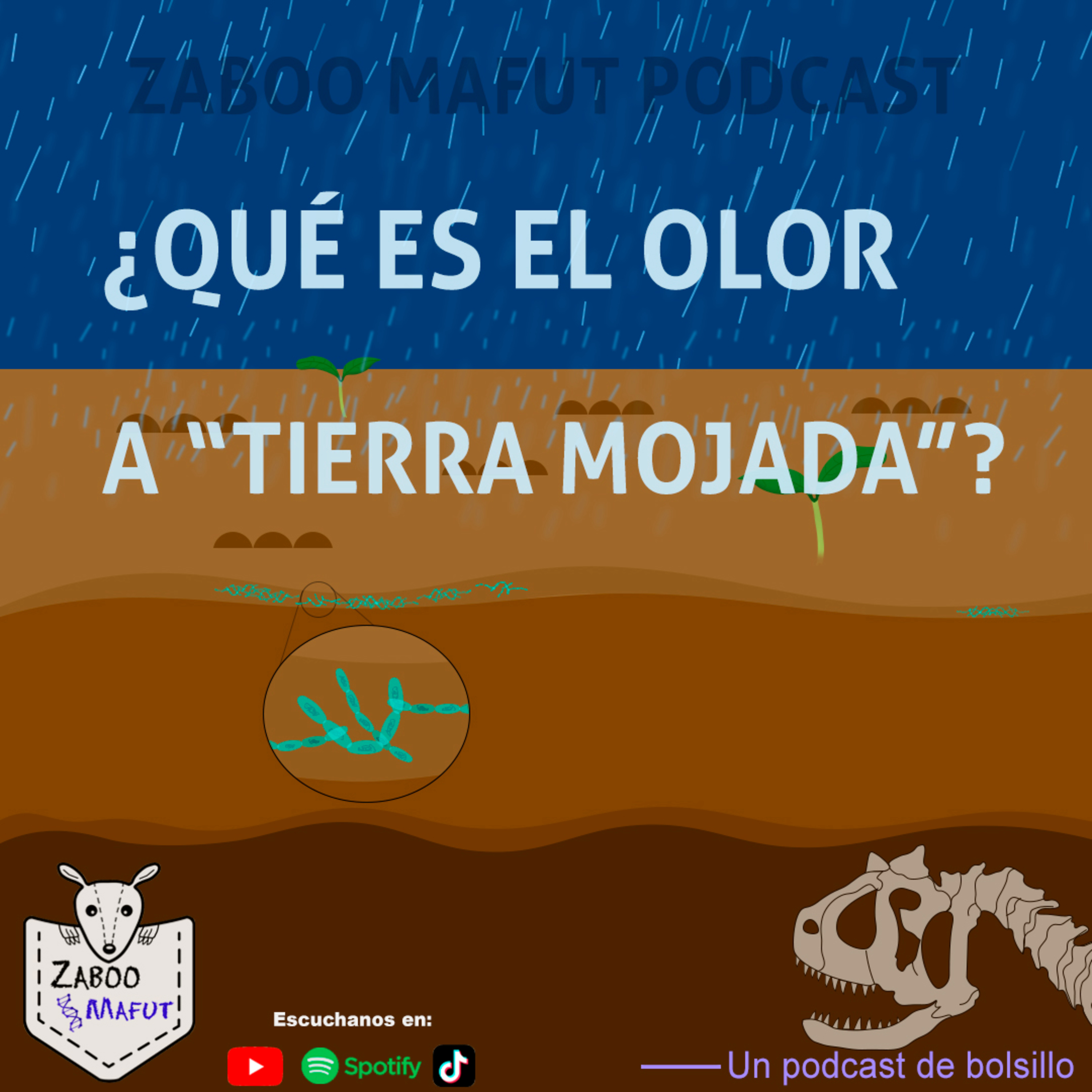 ¿Qué es el olor a tierra mojada? episode artwork