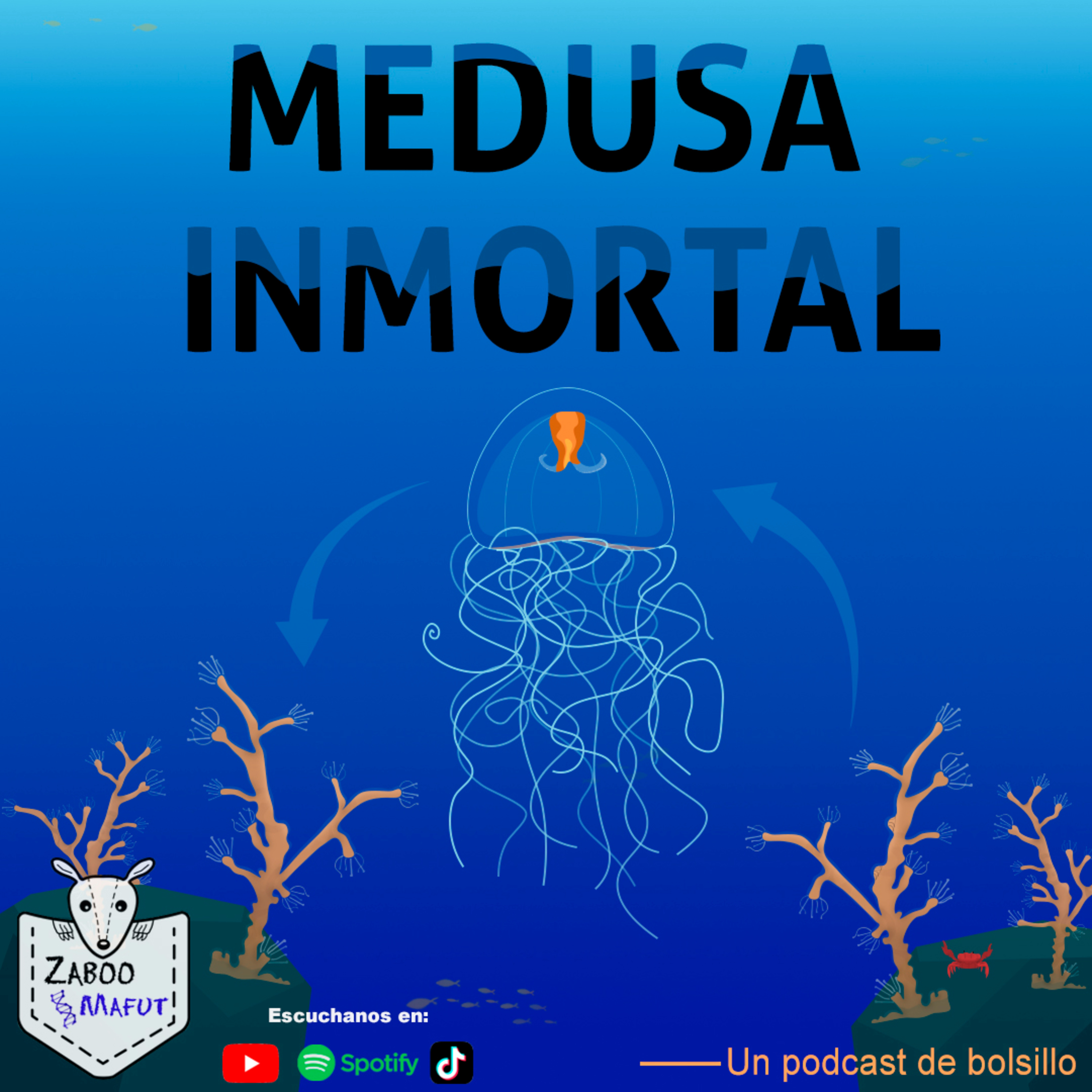 Una medusa biológicamente inmortal episode artwork