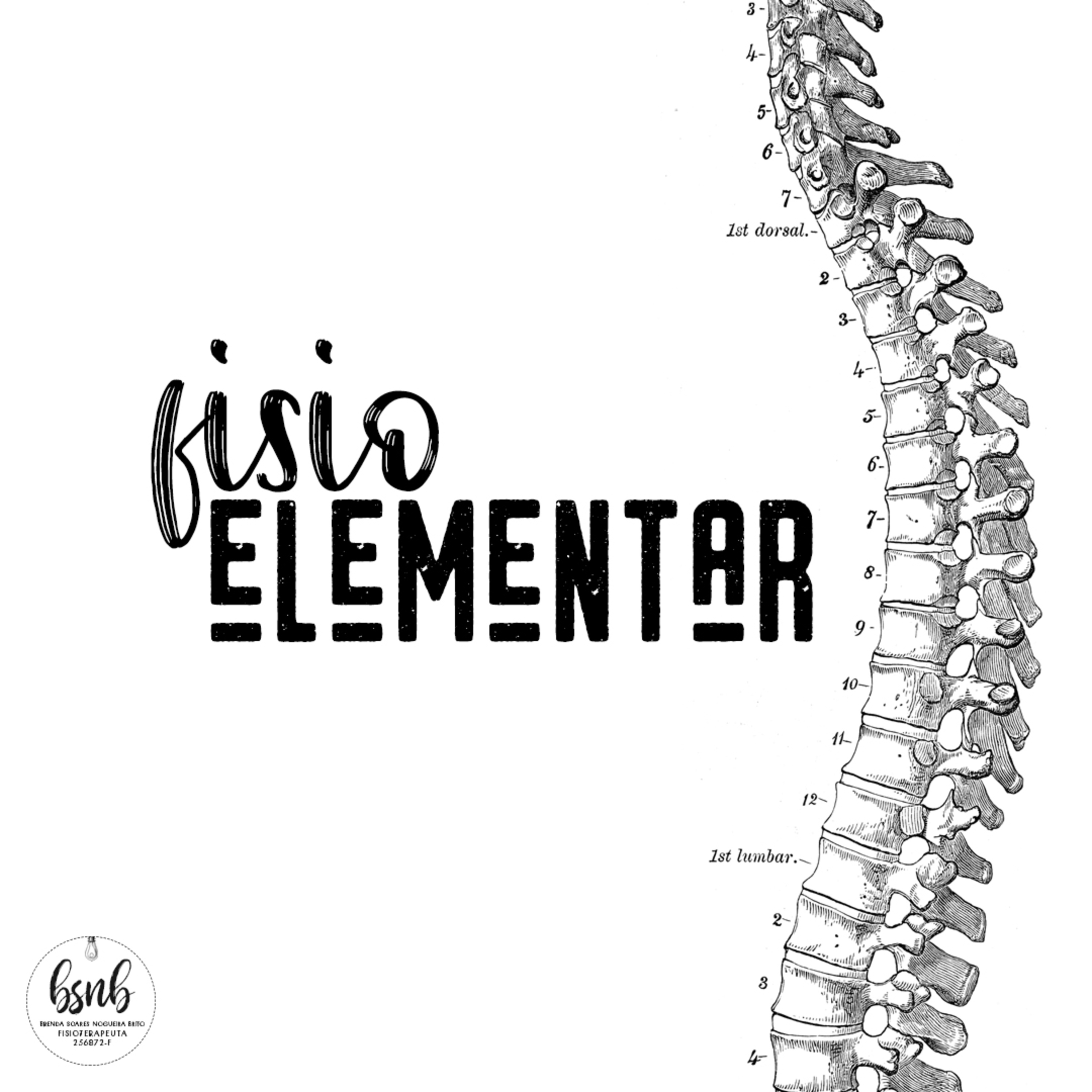 Boas Vindas ao FisioElementar episode artwork