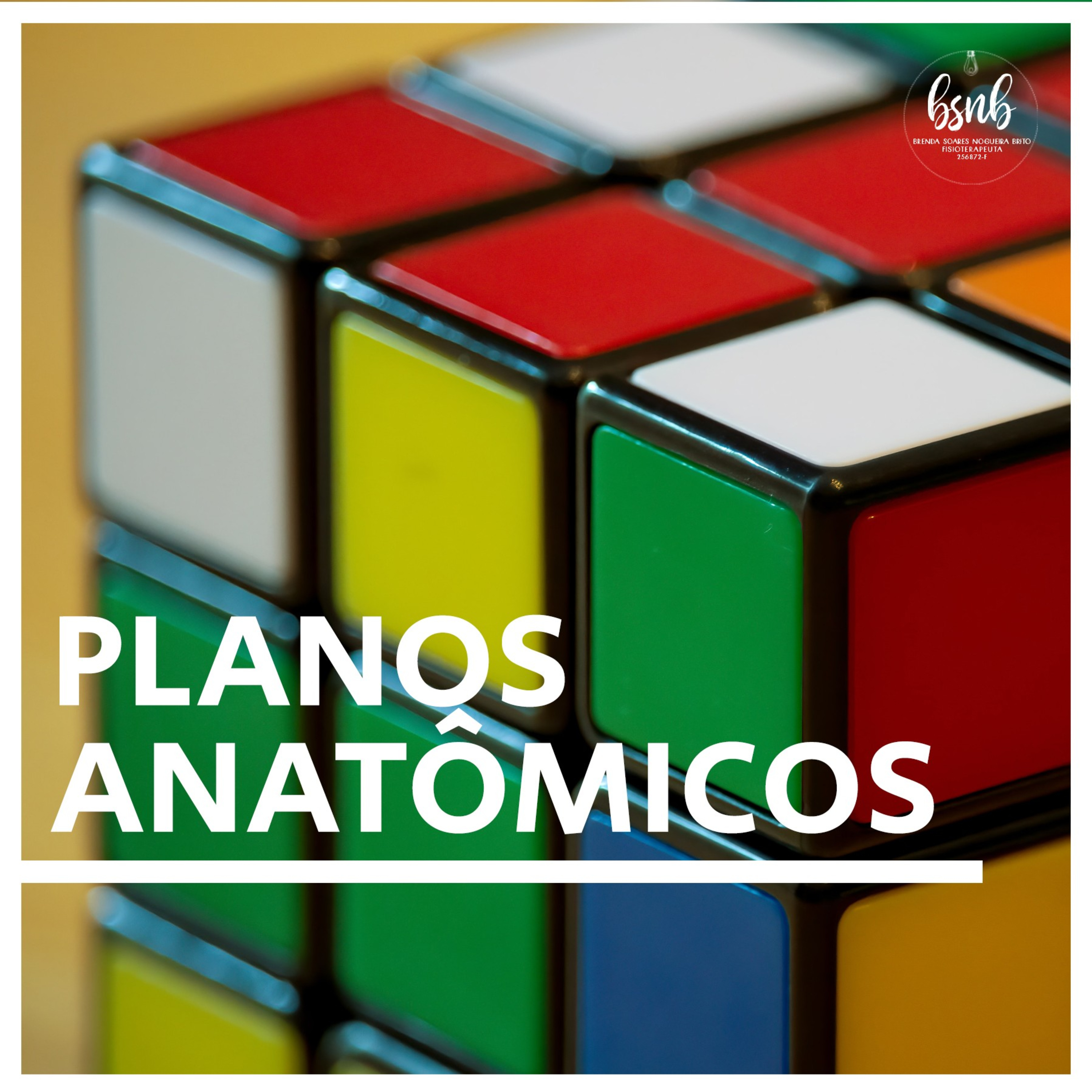 [Anato #2] Planos Anatômicos episode artwork