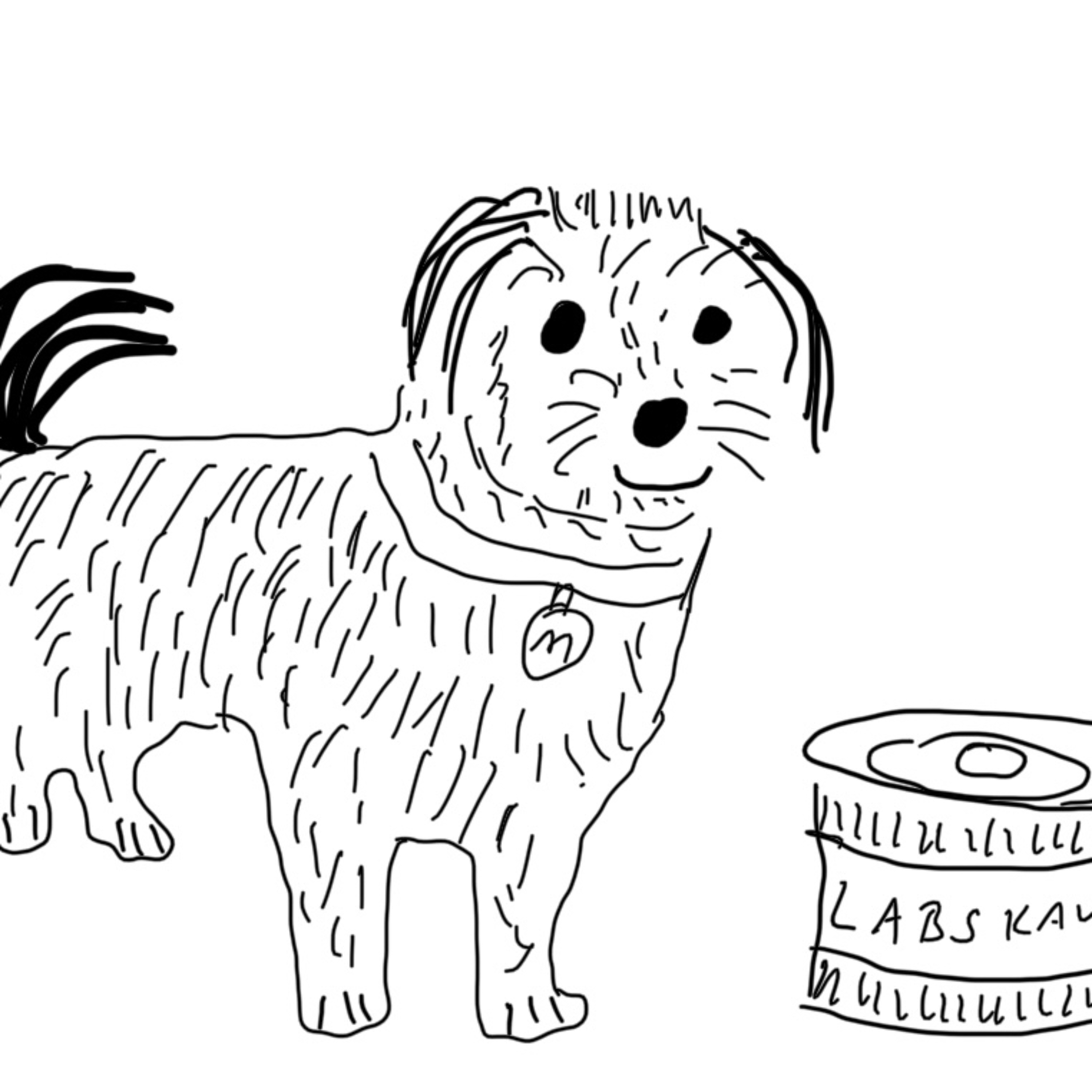Pippa, der Hund