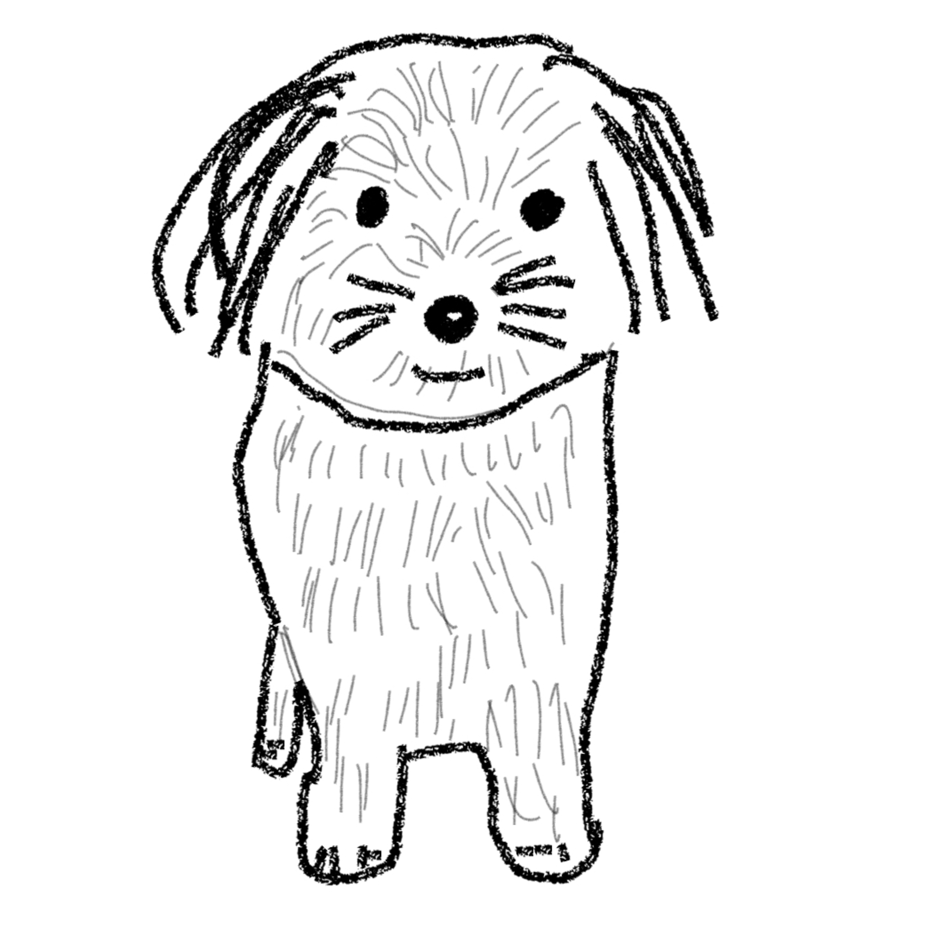 Pippa, der Hund