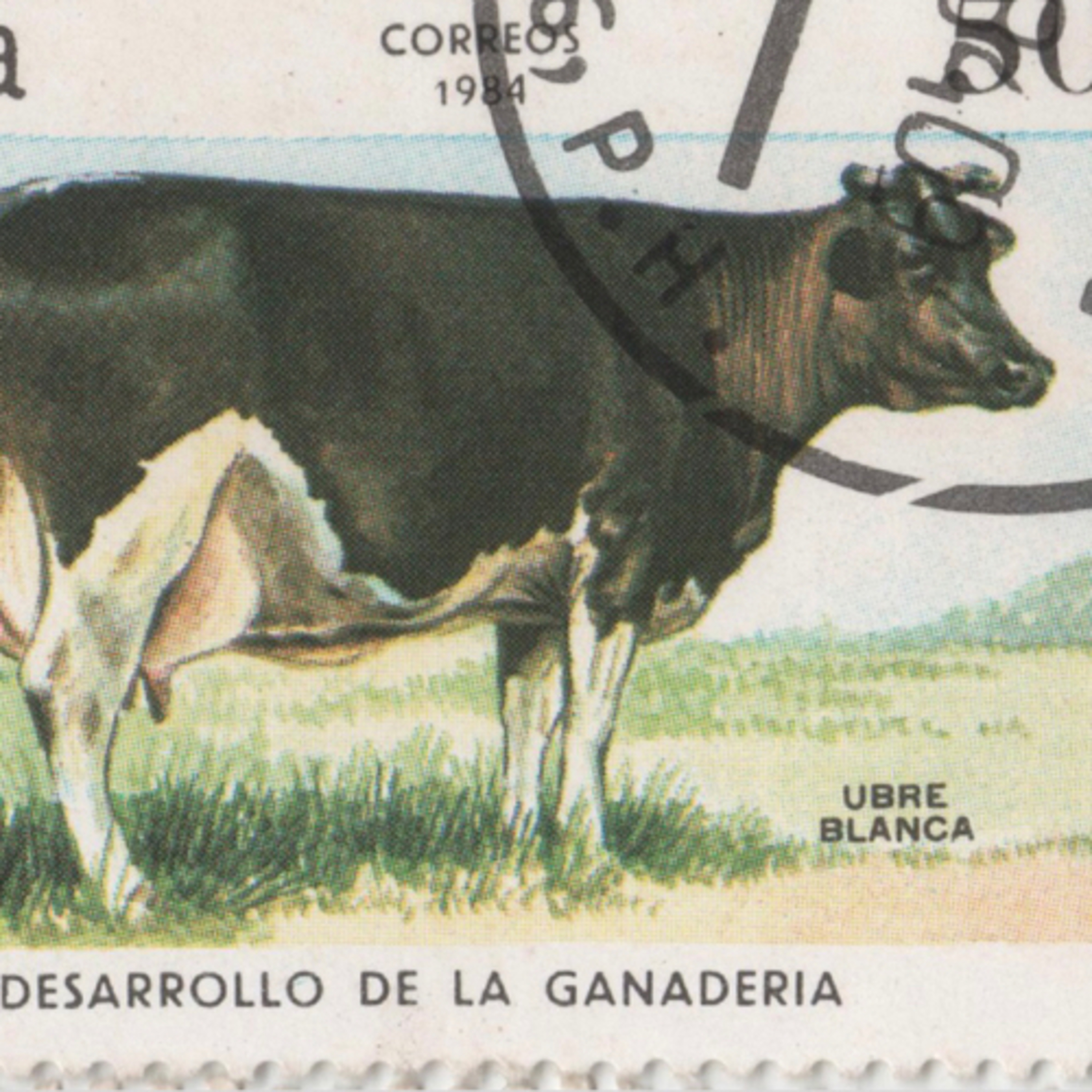 Cows: Big, small, or communist  episode artwork