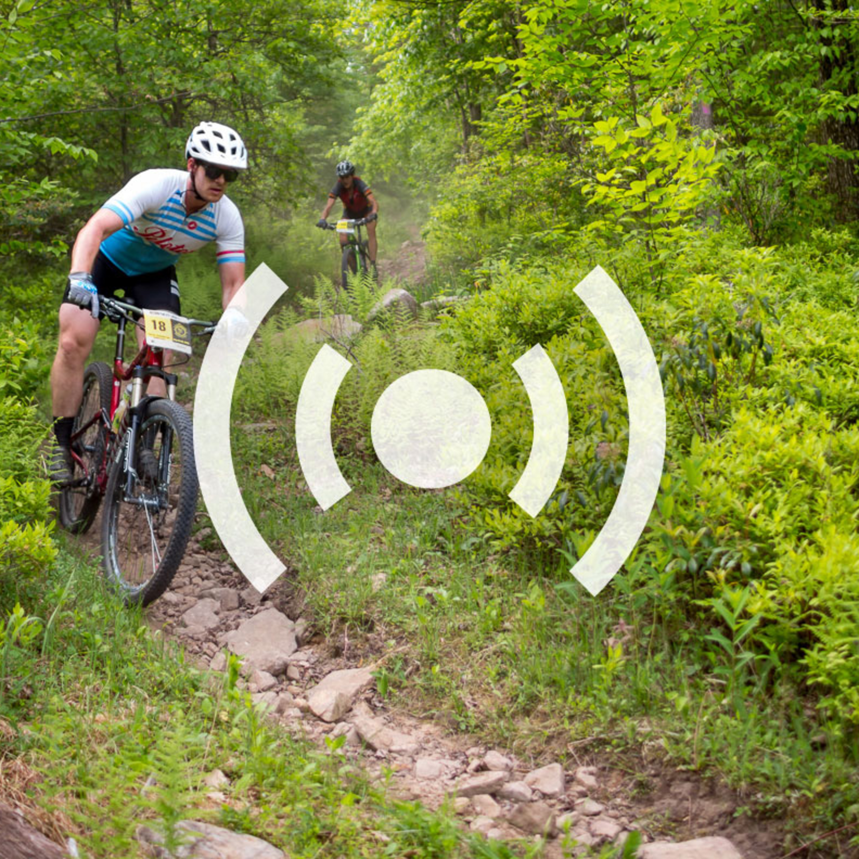 cover of episode Singletrack Summer Camp: Behind the Scenes of the Transylvania Epic Stage Race