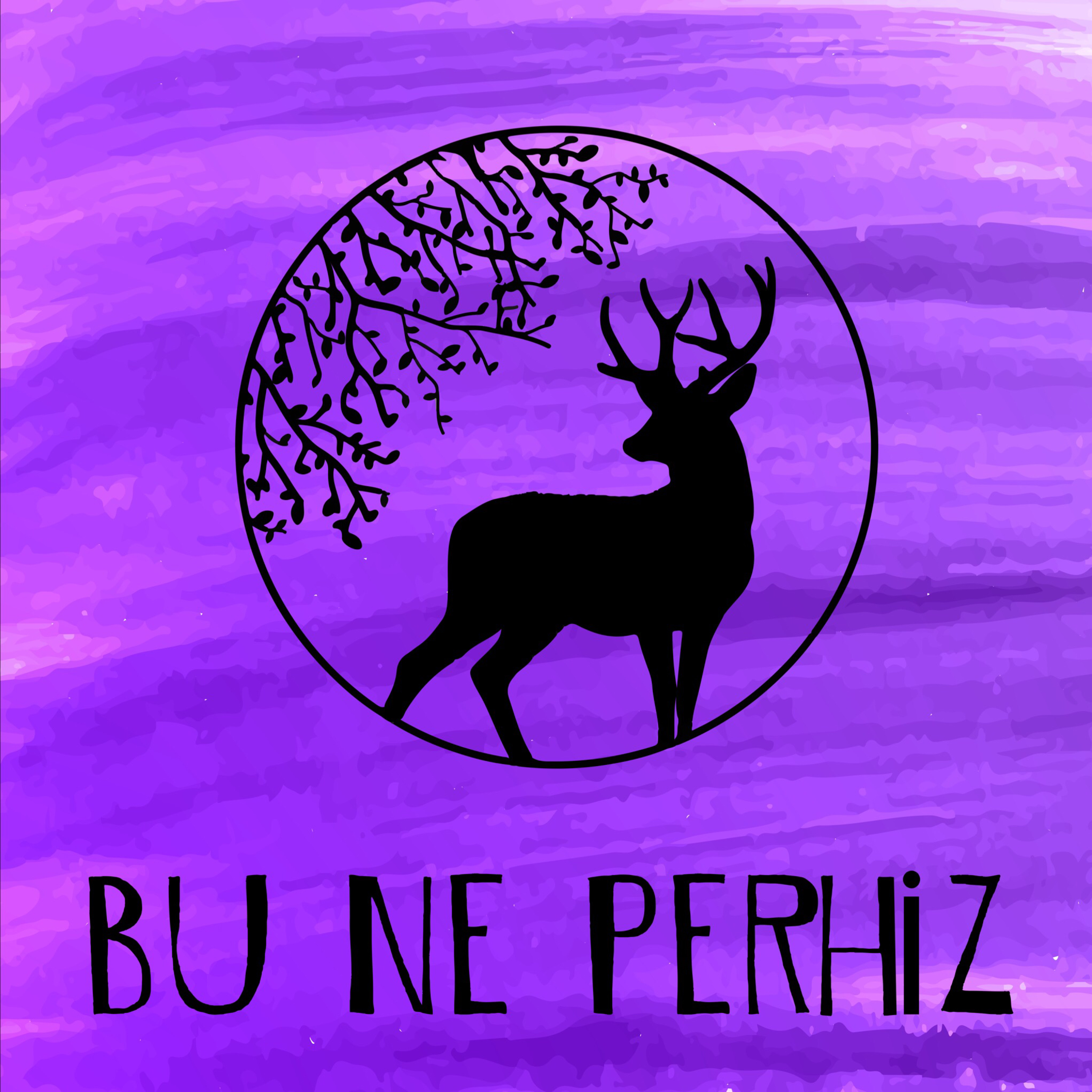 Bu Ne Perhiz