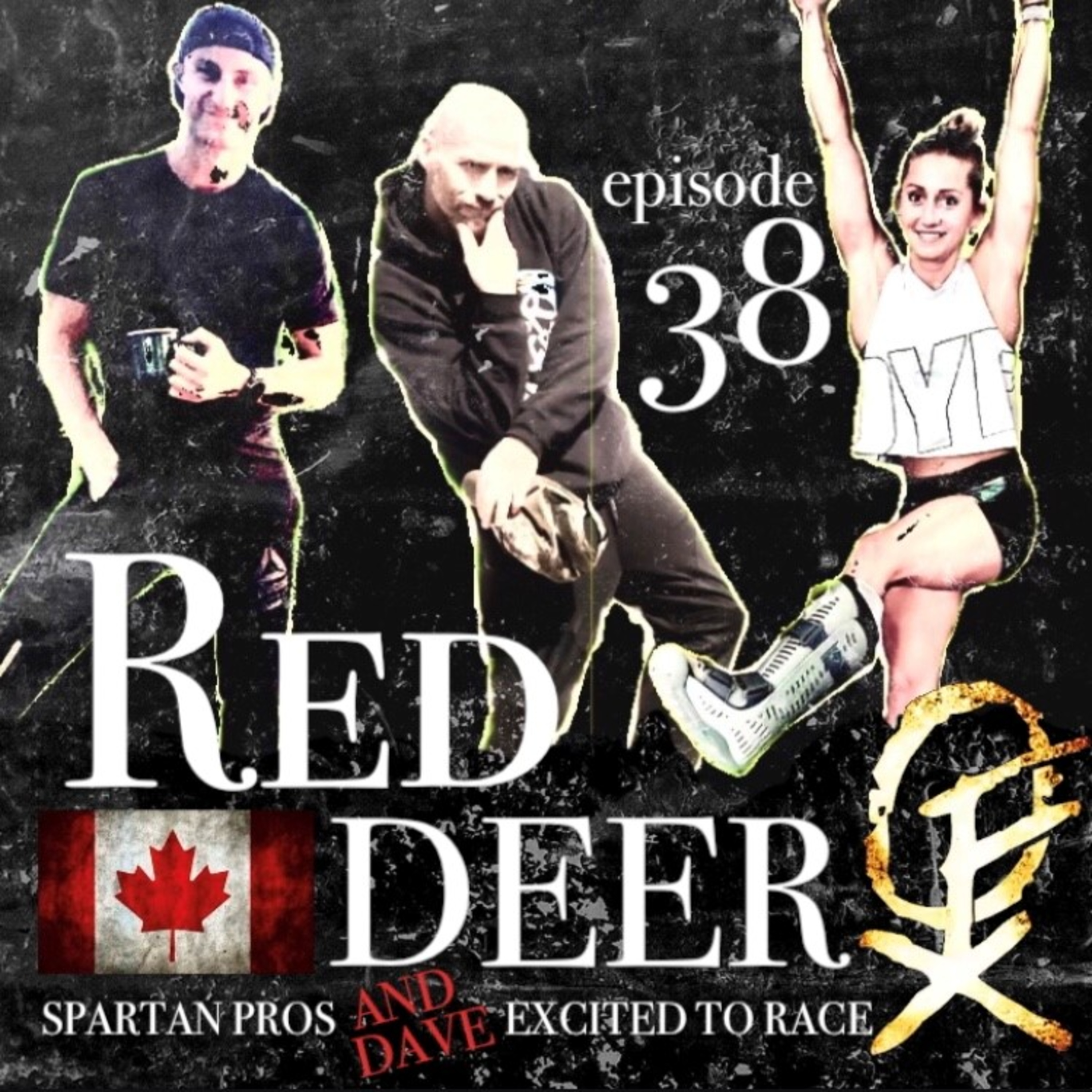 OFX Podcast