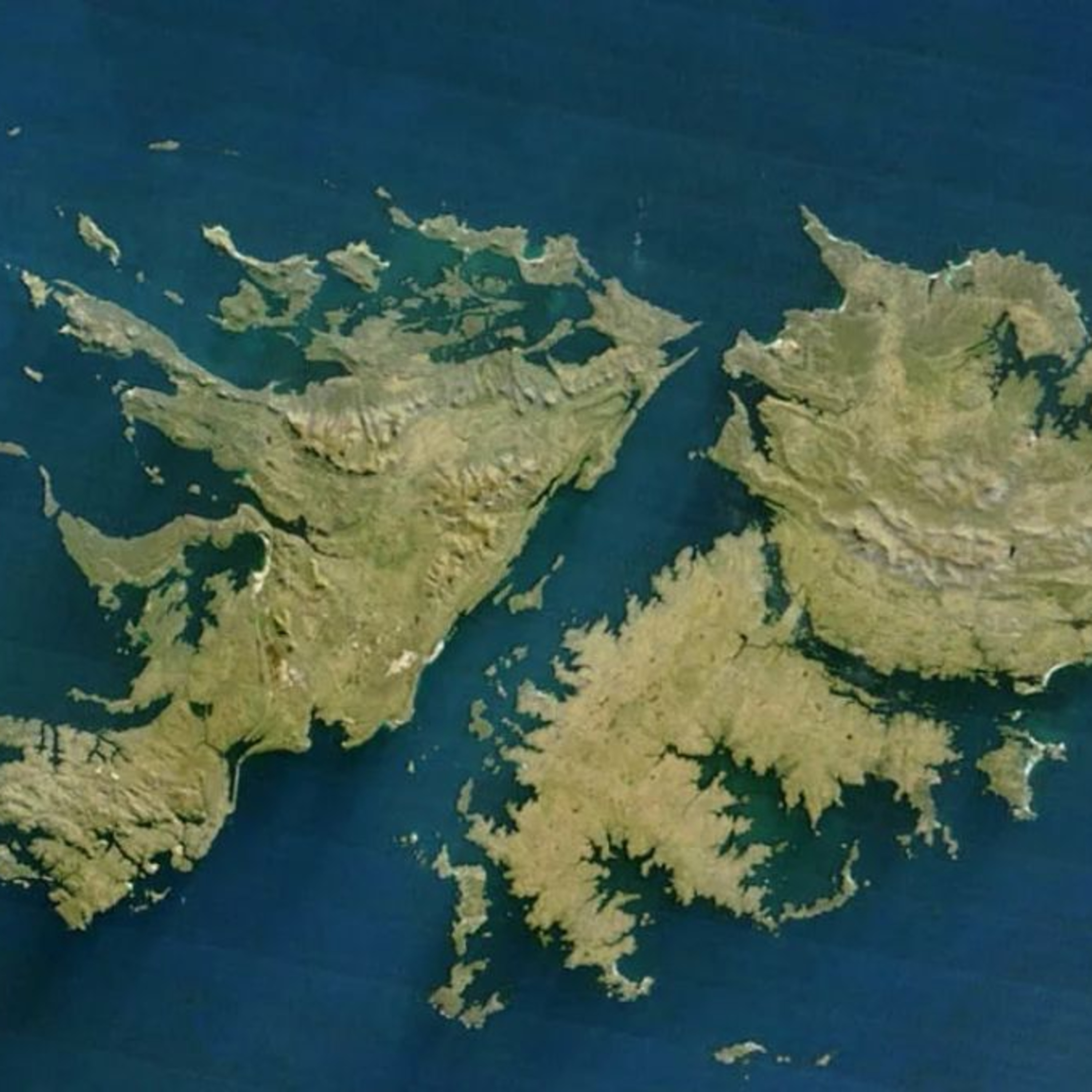 CEDEMA