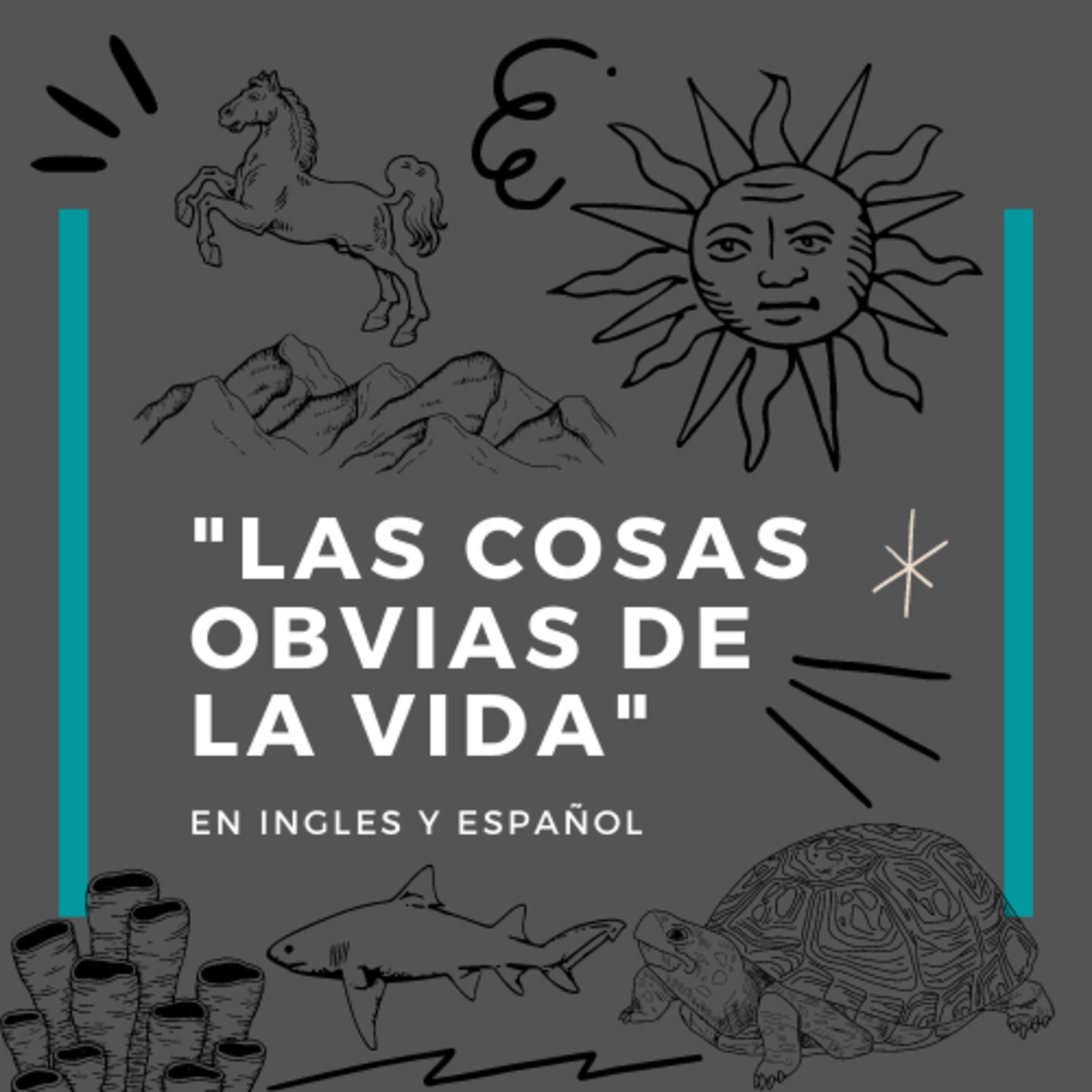 Hola, ¿Cómo estas , Spanish and English episode artwork