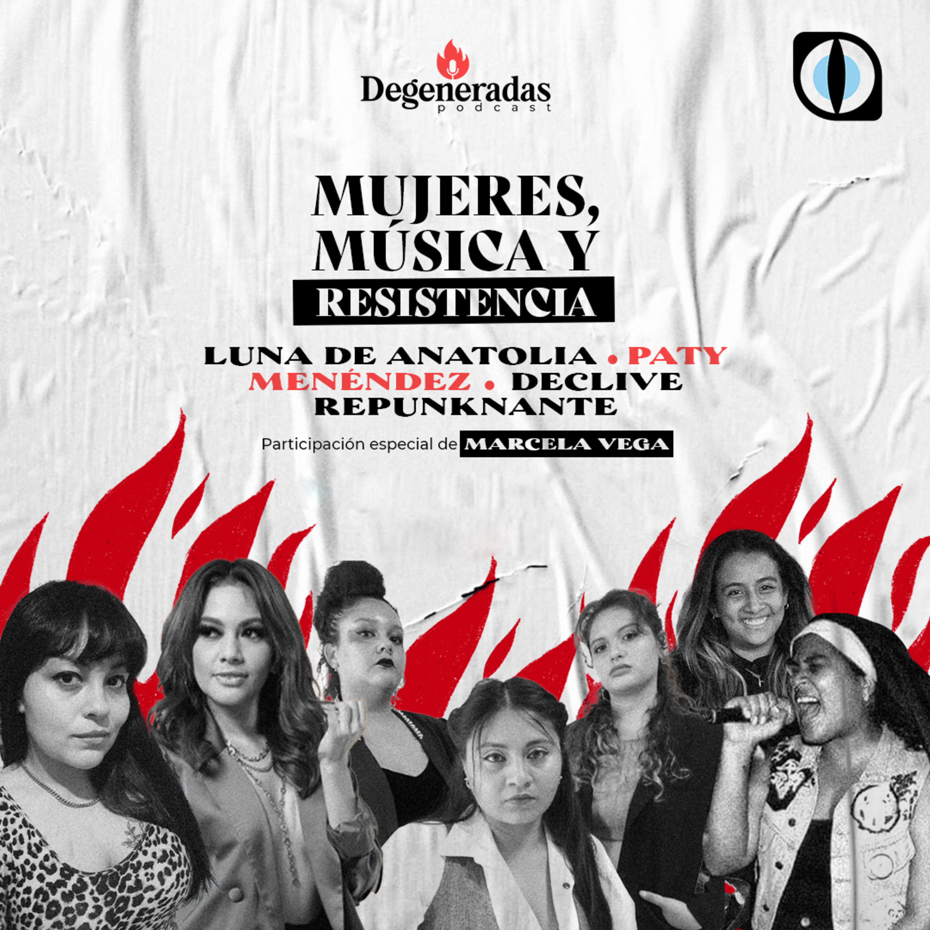 GatoEncerradoSV