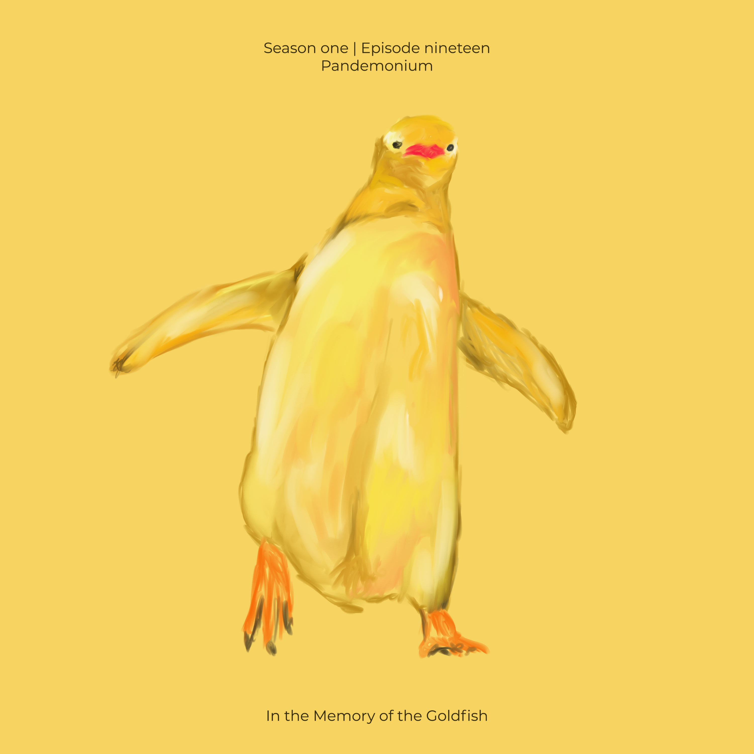 In the Memory of the Goldfish
