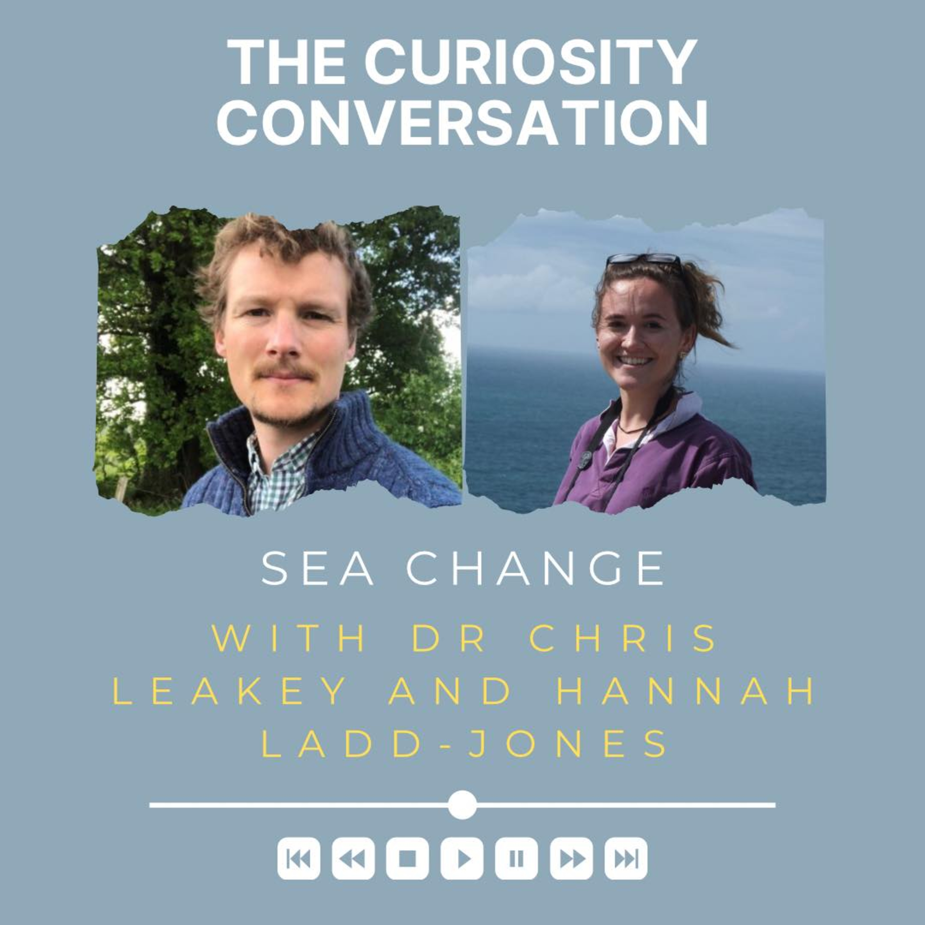 The Curiosity Conversation